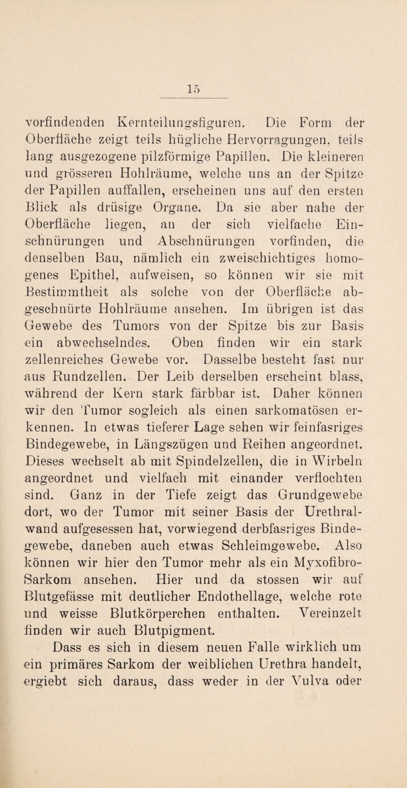 vorfindenden Kernteilungsfiguren. Die Form der Oberfläche zeigt teils hügliche Hervorragungen. teils lang ausgezogene pilzförmige Papillen. Die kleineren und grösseren Hohlräume, welche uns an der Spitze der Papillen auffallen, erscheinen uns auf den ersten Blick als drüsige Organe. Da sie aber nahe der Oberfläche liegen, an der sich vielfache Ein¬ schnürungen und Abschnürungen vorfinden, die denselben Bau, nämlich ein zweischichtiges homo¬ genes Epithel, aufweisen, so können wir sie mit Bestimmtheit als solche von der Oberfläche ab¬ geschnürte Hohlräume ansehen. Im übrigen ist das Gewebe des Tumors von der Spitze bis zur Basis ein abwechselndes. Oben finden wir ein stark zellenreiches Gewebe vor. Dasselbe besteht fast nur aus Rundzellen. Der Leib derselben erscheint blass, während der Kern stark färbbar ist. Daher können wir den Tumor sogleich als einen sarkomatösen er¬ kennen. In etwas tieferer Lage sehen wir feinfasriges Bindegewebe, in Längszügen und Reihen angeordnet. Dieses wechselt ab mit Spindelzellen, die in Wirbeln angeordnet und vielfach mit einander verflochten sind. Ganz in der Tiefe zeigt das Grundgewebe dort, wo der Tumor mit seiner Basis der Urethral¬ wand aufgesessen hat, vorwiegend derbfasriges Binde¬ gewebe, daneben auch etwas Schleimgewebe. Also können wir hier den Tumor mehr als ein Myxofibro- Sarkom ansehen. Hier und da stossen wir auf Blutgefässe mit deutlicher Endothellage, welche rote und weisse Blutkörperchen enthalten. Vereinzelt finden wir auch Blutpigment. Dass es sich in diesem neuen Falle wirklich um ein primäres Sarkom der weiblichen Urethra handelt, ergiebt sich daraus, dass weder in der Vulva oder