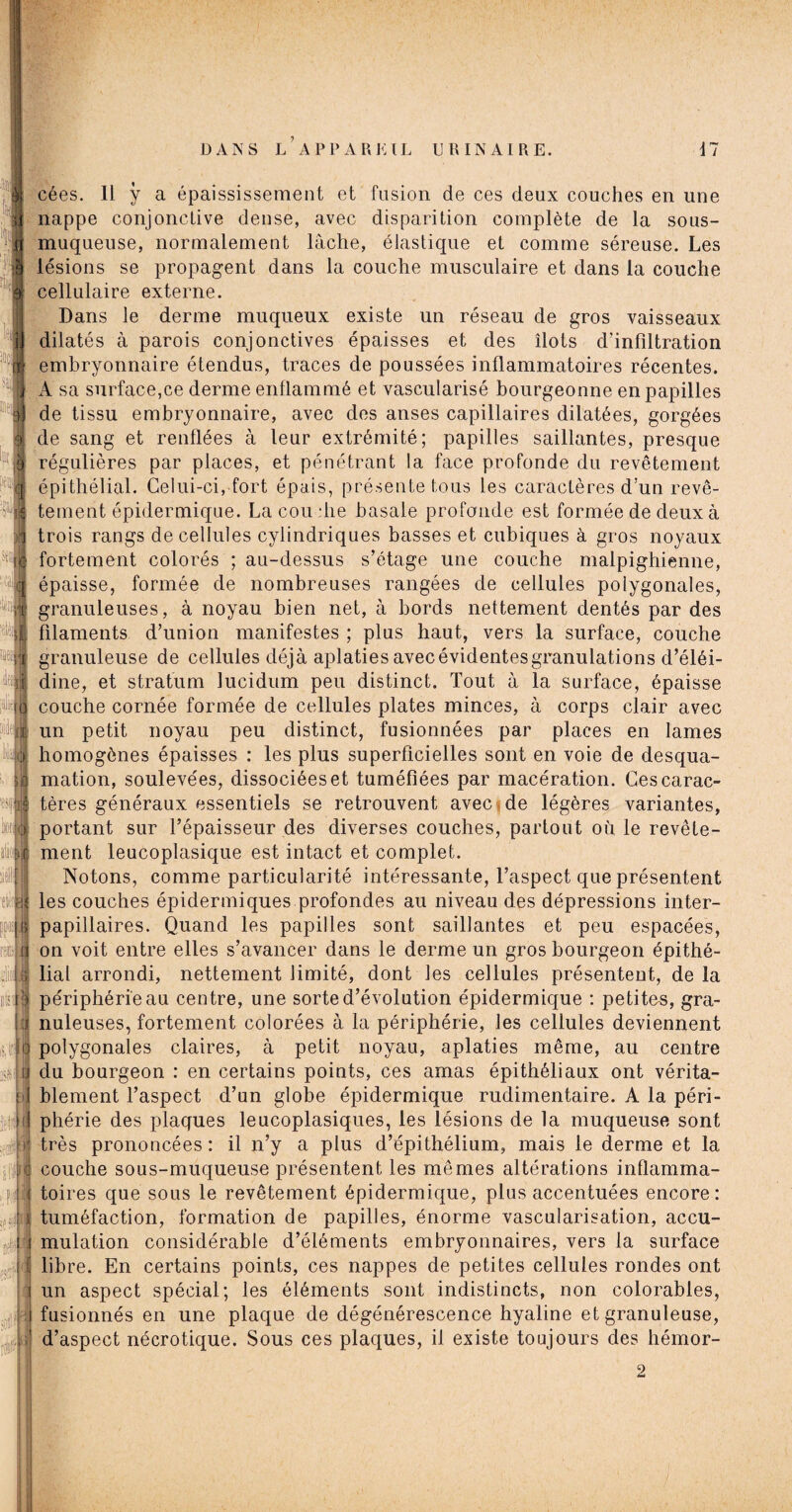 â ssii cées. Il ÿ a épaississement et fusion de ces deux couches en une nappe conjonctive dense, avec disparition complète de la sous- muqueuse, normalement lâche, élastique et comme séreuse. Les lésions se propagent dans la couche musculaire et dans la couche cellulaire externe. Dans le derme muqueux existe un réseau de gros vaisseaux dilatés à parois conjonctives épaisses et des îlots d’infiltration embryonnaire étendus, traces de poussées inflammatoires récentes. A sa surface,ce derme enflammé et vascularisé bourgeonne en papilles de tissu embryonnaire, avec des anses capillaires dilatées, gorgées de sang et renflées à leur extrémité; papilles saillantes, presque régulières par places, et pénétrant la face profonde du revêtement épithélial. Celui-ci, fort épais, présente tous les caractères d’un revê¬ tement épidermique. La cou die basale profonde est formée de deux à trois rangs de cellules cylindriques basses et cubiques à gros noyaux fortement colorés ; au-dessus s’étage une couche malpighienne, épaisse, formée de nombreuses rangées de cellules polygonales, granuleuses, à noyau bien net, à bords nettement dentés par des filaments d’union manifestes ; plus haut, vers la surface, couche granuleuse de cellules déjà aplaties avec évidentes granulations d’éléi- dine, et stratum lucidum peu distinct. Tout à la surface, épaisse couche cornée formée de cellules plates minces, à corps clair avec un petit noyau peu distinct, fusionnées par places en lames homogènes épaisses : les plus superficielles sont en voie de desqua¬ mation, soulevées, dissociées et tuméfiées par macération. Ces carac¬ tères généraux essentiels se retrouvent avec i de légères variantes, portant sur l’épaisseur des diverses couches, partout où le revête¬ ment leucoplasique est intact et complet. Notons, comme particularité intéressante, l’aspect que présentent les couches épidermiques profondes au niveau des dépressions inter¬ papillaires. Quand les papilles sont saillantes et peu espacées, on voit entre elles s’avancer dans le derme un gros bourgeon épithé¬ lial arrondi, nettement limité, dont les cellules présentent, de la périphérie au centre, une sorte d’évolution épidermique : petites, gra¬ nuleuses, fortement colorées à la périphérie, les cellules deviennent polygonales claires, à petit noyau, aplaties même, au centre du bourgeon : en certains points, ces amas épithéliaux ont vérita¬ blement l’aspect d’un globe épidermique rudimentaire. A la péri¬ phérie des plaques leucoplasiques, les lésions de la muqueuse sont très prononcées: il n’y a plus d’épithélium, mais le derme et la couche sous-muqueuse présentent les mêmes altérations inflamma¬ toires que sous le revêtement épidermique, plus accentuées encore: tuméfaction, formation de papilles, énorme vascularisation, accu¬ mulation considérable d’éléments embryonnaires, vers la surface libre. En certains points, ces nappes de petites cellules rondes ont un aspect spécial; les éléments sont indistincts, non colorables, fusionnés en une plaque de dégénérescence hyaline et granuleuse, d’aspect nécrotique. Sous ces plaques, il existe toujours des hémor-