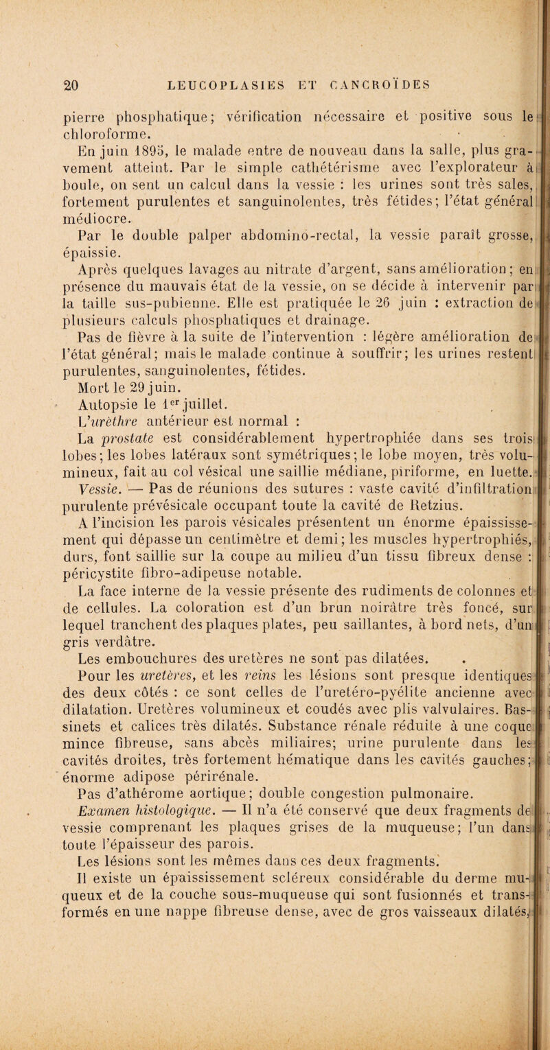 pierre phosphatique ; vérification nécessaire et positive sous le chloroforme. En juin 1895, le malade entre de nouveau dans la salle, plus gra¬ vement atteint. Par le simple cathétérisme avec l’explorateur à houle, on sent un calcul dans la vessie : les urines sont très sales, fortement purulentes et sanguinolentes, très fétides; l’état général médiocre. Par le double palper abdomino-rectal, la vessie paraît grosse, ; épaissie. Après quelques lavages au nitrate d’argent, sans amélioration ; en \ présence du mauvais état de la vessie, on se décide à intervenir par <j la taille sus-pubienne. Elle est pratiquée le 26 juin : extraction de plusieurs calculs phosphatiques et drainage. Pas de fièvre à la suite de l’intervention : légère amélioration de l’état général; mais le malade continue à souffrir; les urines restent purulentes, sanguinolentes, fétides. Mort le 29 juin. Autopsie le 1er juillet. L’urèthre antérieur est normal : La prostate est considérablement hypertrophiée dans ses trois ( lobes; les lobes latéraux sont symétriques ; le lobe moyen, très volu¬ mineux, fait au col vésical une saillie médiane, piriforme, en luette, i Vessie. — Pas de réunions des sutures : vaste cavité d’infiltration purulente prévésicale occupant toute la cavité de Retzius. A l’incision les parois vésicales présentent un énorme épaississe- • ment qui dépasse un centimètre et demi; les muscles hypertrophiés, . durs, font saillie sur la coupe au milieu d’un tissu fibreux dense : ; péricystite fibro-adipeuse notable. La face interne de la vessie présente des rudiments de colonnes et de cellules. La coloration est d’un brun noirâtre très foncé, sur i lequel tranchent des plaques plates, peu saillantes, à bord nets, d’un ; gris verdâtre. Les embouchures des uretères ne sont pas dilatées. Pour les uretères, et les reins les lésions sont presque identiques des deux côtés : ce sont celles de l’uretéro-pyélite ancienne avec i dilatation. Uretères volumineux et coudés avec plis valvulaires. Bas- ; sinets et calices très dilatés. Substance rénale réduite à une coque mince fibreuse, sans abcès miliaires; urine purulente dans les cavités droites, très fortement hématique dans les cavités gauches; énorme adipose périrénale. Pas d’athérome aortique; double congestion pulmonaire. Examen histologique. — 11 n’a été conservé que deux fragments de vessie comprenant les plaques grises de la muqueuse; l’un danai toute l’épaisseur des parois. Les lésions sont les mêmes dans ces deux fragments. Il existe un épaississement scléreux considérable du derme mu-u i queux et de la couche sous-muqueuse qui sont fusionnés et trans-i I formés en une nappe fibreuse dense, avec de gros vaisseaux dilatés.' 1