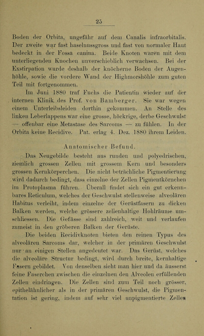 Boden der Orbita, ungefähr auf dein Canalis infraorbitalis. Der zweite war fast haselnussgross und fast von normaler Haut bedeckt in der Fossa canina. Beide Knoten waren mit dem unterliegenden Knochen unverschieblich verwachsen. Bei der Exstirpation wurde deshalb der knöcherne Boden der Augen¬ höhle, sowie die vordere Wand der Highmorshöhle zum guten Teil mit fortgenommen. Im Juni 1880 traf Fuchs die Patientin wieder auf der internen Klinik des Prof, von Bamberger. Sie war wegen einem Unterleibsleiden dorthin gekommen. An Stelle des linken Leberlappens war eine grosse, höckrige, derbe Geschwulst — offenbar eine Metastase des Sarcoms — zu fühlen. In der Orbita keine Recidive. Pat. erlag 4. Dez. 1880 ihrem Leiden. Anatomischer Befund. Das Reugebilde besteht aus runden und polyedrischen, ziemlich grossen Zellen mit grossem Kern und besonders grossen Kernkörperchen. Die nicht betriebliche Pigmentierung wird dadurch bedingt, dass einzelne der Zellen Pigmentkörnchen im Protoplasma führen. Überall findet sich ein gut erkenn¬ bares Reticulum, welches der Geschwulst stellenweise alveolären Habitus verleiht, indem einzelne der Gerüstfasern zu dicken Balken werden, welche grössere zelienhaltige Hohlräume um- schliessen. Die Gefässe sind zahlreich, weit und verlaufen zumeist in den gröberen Balken der Gerüste. Die beiden Recidivknoten bieten den reinen Typus des alveolären Sarcoms dar, welcher in der primären Geschwulst nur • an einigen Stellen angedeutet war. Das Gerüst, welches die alveoläre Structur bedingt, wird durch breite, kernhaltige Fasern gebildet. Von denselben sieht man hier und da äusserst feine Fäserchen zwischen die einzelnen den Alveolen erfüllenden Zellen eindringen. Die Zellen sind zum Teil noch grösser, epithelähnlicher als in der primären Geschwulst, die Pigmen- tation ist gering, indem auf sehr viel unpigmentierte Zelle»