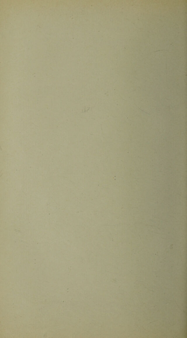 digitised image 2