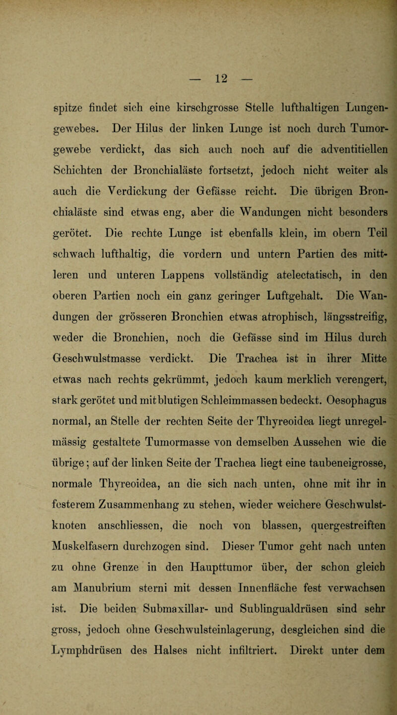 1 — 12 — spitze findet sich eine kirschgrosse Stelle lufthaltigen Lungen- gewebes. Der Hilus der linken Lunge ist noch durch Tumor¬ gewebe verdickt, das sich auch noch auf die adventitiellen Schichten der Bronchialäste fortsetzt, jedoch nicht weiter als auch die Verdickung der Gefässe reicht. Die übrigen Bron¬ chialäste sind etwas eng, aber die Wandungen nicht besonders gerötet. Die rechte Lunge ist ebenfalls klein, im obern Teil schwach lufthaltig, die vordem und untern Partien des mitt¬ leren und unteren Lappens vollständig atelectatisch, in den oberen Partien noch ein ganz geringer Luftgehalt. Die Wan¬ dungen der grösseren Bronchien etwas atrophisch, längsstreifig, weder die Bronchien, noch die Gefässe sind im Hilus durch Geschwulstmasse verdickt. Die Trachea ist in ihrer Mitte etwas nach rechts gekrümmt, jedoch kaum merklich verengert, stark gerötet und mit blutigen Schleimmassen bedeckt. Oesophagus normal, an Stelle der rechten Seite der Thyreoidea liegt unregel¬ mässig gestaltete Tumormasse von demselben Aussehen wie die übrige; auf der linken Seite der Trachea liegt eine taubeneigrosse, normale Thyreoidea, an die sich nach unten, ohne mit ihr in festerem Zusammenhang zu stehen, wieder weichere Geschwulst¬ knoten anschliessen, die noch von blassen, quergestreiften Muskelfasern durchzogen sind. Dieser Tumor geht nach unten zu ohne Grenze in den Haupttumor über, der schon gleich am Manubrium sterni mit dessen Innenfläche fest verwachsen ist. Die beiden Submaxillar- und Sublingualdrüsen sind sehr gross, jedoch ohne Geschwulsteinlagerung, desgleichen sind die Lymphdrüsen des Halses nicht infiltriert. Direkt unter dem