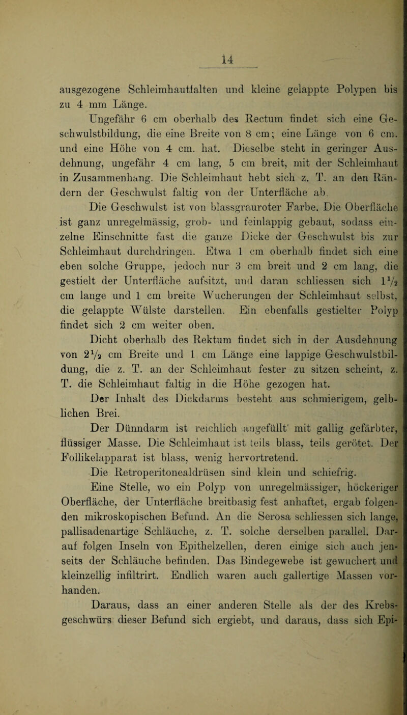 ausgezogene Schleimhautfalten und kleine gelappte Polypen bis zu 4 mm Länge. Ungefähr 6 cm oberhalb des Rectum findet sich eine Ge¬ schwulstbildung, die eine Breite von 8 cm; eine Länge von 6 cm. und eine Höhe von 4 cm. hat. Dieselbe steht in geringer Aus¬ dehnung, ungefähr 4 cm lang, 5 cm breit, mit der Schleimhaut in Zusammenhang. Die Schleimhaut hebt sich z. T. an den Rän¬ dern der Geschwulst faltig von der Unterfläche ab. Die Geschwulst ist von blassgrauroter Farbe. Die Oberfläche ist ganz unregelmässig, grob- und feinlappig gebaut, sodass ein¬ zelne Einschnitte fast die ganze Dicke der Geschwulst bis zur Schleimhaut durchdringen. Etwa 1 cm oberhalb findet sich eine eben solche Gruppe, jedoch nur 3 cm breit und 2 cm lang, die gestielt der Unterfläche aufsitzt, und daran schliessen sich U/2 cm lange und 1 cm breite Wucherungen der Schleimhaut selbst, die gelappte Wülste darstellen. Ein ebenfalls gestielter Polyp findet sich 2 cm weiter oben. Dicht oberhalb des Rektum findet sich in der Ausdehnung von 2Va cm Breite und 1 cm Länge eine lappige Geschwulstbil¬ dung, die z. T. an der Schleimhaut fester zu sitzen scheint, z. T. die Schleimhaut faltig in die Höhe gezogen hat. Der Inhalt des Dickdarms besteht aus schmierigem, gelb¬ lichen Brei. Der Dünndarm ist reichlich ungefüllt' mit gallig gefärbter, flüssiger Masse. Die Schleimhaut ist teils blass, teils gerötet. Der Follikelapparat ist blass, wenig hervortretend. Die Retroperitonealdrüsen sind klein und schiefrig. Eine Stelle, wo ein Polyp von unregelmässiger, höckeriger Oberfläche, der Unterfläche breitbasig fest anhaftet, ergab folgen¬ den mikroskopischen Befund. An die Serosa schliessen sich lange, pallisadenartige Schläuche, z. T. solche derselben parallel. Dar¬ auf folgen Inseln von Epithelzellen, deren einige sich auch jen¬ seits der Schläuche befinden. Das Bindegewebe ist gewuchert und kleinzellig infiltrirt. Endlich waren auch gallertige Massen vor¬ handen. Daraus, dass an einer anderen Stelle als der des Krebs- gescliwürs dieser Befund sich ergiebt, und daraus, dass sich Epi-