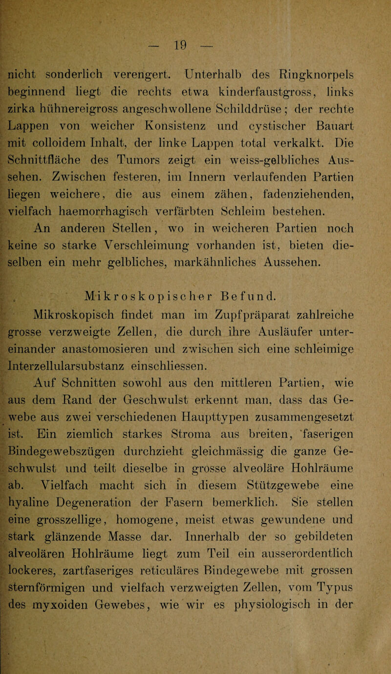 nicht sonderlich verengert. Unterhalb des Ringknorpels beginnend liegt die rechts etwa kinderfaustgross, links zirka hühnereigross angeschwollene Schilddrüse; der rechte Lappen von weicher Konsistenz und cystischer Bauart mit colloidem Inhalt, der linke Lappen total verkalkt. Die Schnittfläche des Tumors zeigt ein weiss-gelbliches Aus¬ sehen. Zwischen festeren, im Innern verlaufenden Partien liegen weichere, die aus einem zähen, fadenziehenden, vielfach haemorrhagisch verfärbten Schleim bestehen. An anderen Stellen, wo in weicheren Partien noch keine so starke Verschleimung vorhanden ist, bieten die¬ selben ein mehr gelbliches, markähnliches Aussehen. Mikroskopischer Befund. Mikroskopisch findet man im Zupfpräparat zahlreiche grosse verzweigte Zellen, die durch ihre Ausläufer unter¬ einander anastomosieren und zwischen sich eine schleimige Interzellularsubstanz einschliessen. Auf Schnitten sowohl aus den mittleren Partien, wie aus dem Rand der Geschwulst erkennt man, dass das Ge¬ webe aus zwei verschiedenen Haupttypen zusammengesetzt ist. Ein ziemlich starkes Stroma aus breiten, faserigen Bindegewebszügen durchzieht gleichmässig die ganze Ge¬ schwulst und teilt dieselbe in grosse alveoläre Hohlräume ab. Vielfach macht sich in diesem Stützgewebe eine hyaline Degeneration der Fasern bemerklich. Sie stellen eine grosszeilige, homogene, meist etwas gewundene und stark glänzende Masse dar. Innerhalb der so gebildeten alveolären Hohlräume liegt zum Teil ein ausserordentlich lockeres, zartfaseriges reticuläres Bindegewebe mit grossen sternförmigen und vielfach verzweigten Zellen, vom Typus des myxoiden Gewebes, wie wir es physiologisch in der