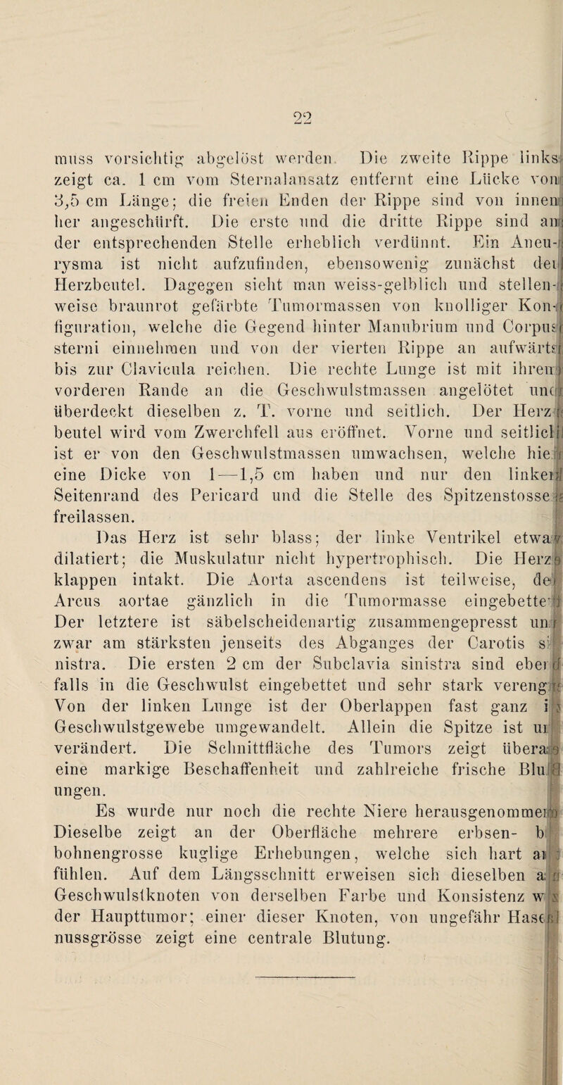 muss vorsichtig abgelöst werden Die zweite Rippe links* zeigt ca. 1 cm vom Sternalansatz entfernt eine Lücke vom 3,5 cm Länge; die freien Enden der Rippe sind von innenj her angeschiirft. Die erste und die dritte Rippe sind an; der entsprechenden Stelle erheblich verdünnt. Ein Aneu¬ rysma ist nicht aufzufinden, ebensowenig zunächst dei Herzbeutel. Dagegen sieht man weiss-gelblich und stellen¬ weise braunrot gefärbte Tumormassen von knolliger Kon- ü figuration, welche die Gegend hinter Manubrium und Corpus! Sterni einnehraen und von der vierten Rippe an aufwärts! bis zur Clavicula reichen. Die rechte Lunge ist mit ihren vorderen Rande an die Geschwulstmassen angelötet uncrj überdeckt dieselben z. T. vorne und seitlich. Der Herz ; beutel wird vom Zwerchfell aus eröffnet. Vorne und seitlich! ist er von den Geschwulstmassen umwachsen, welche hie / eine Dicke von 1 —1,5 cm haben und nur den linker fl Seitenrand des Pericard und die Stelle des Spitzenstosse m freilassen. Das Herz ist sehr blass; der linke Ventrikel etwa? dilatiert; die Muskulatur nicht hypertrophisch. Die Herz® klappen intakt. Die Aorta ascendens ist teilweise, de| Arcus aortae gänzlich in die Tumormasse eingebettet Der letztere ist säbelscheidenartig zusammengepresst uni zwar am stärksten jenseits des Abganges der Carotis si-l nistra. Die ersten 2 cm der Subclavia sinistra sind ebei d falls in die Geschwulst eingebettet und sehr stark vereng i Von der linken Lunge ist der Oberlappen fast ganz i s Geschwulstgewebe umgewandelt. Allein die Spitze ist ui|l verändert. Die Schnittfläche des Tumors zeigt iiberao eine markige Beschaffenheit und zahlreiche frische Blu i ungen. Es wurde nur noch die rechte Niere herausgenommeip Dieselbe zeigt an der Oberfläche mehrere erbsen- b bohnengrosse kuglige Erhebungen, welche sich hart ai fühlen. Auf dem Längsschnitt erweisen sich dieselben a n Geschwulstknoten von derselben Farbe und Konsistenz w s' der Haupttumor; einer dieser Knoten, von ungefähr Hase i\ nussgrösse zeigt eine centrale Blutung.