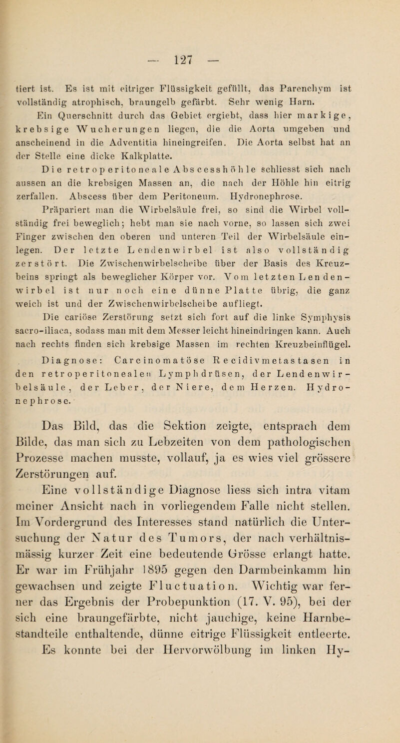 tiert ist. Es ist mit eitriger Flüssigkeit gefüllt, das Parenchym ist vollständig atrophisch, brnungelb gefärbt. Sehr wenig Harn. Ein Querschnitt durch das Gebiet ergiebt, dass hier markige, krebsige Wucherungen liegen, die die Aorta umgeben und anscheinend in die Adventitia hineingreifen. Die Aorta selbst hat an der Stelle, eine dicke Kalkplatte. Die retrop eritoneale Abscesshöhle schliesst sich nach aussen an die krebsigen Massen an, die nach der Höhle hin eitrig zerfallen. Abscess über dem Peritoneum. Hydronephrose. Präpariert man die Wirbelsäule frei, so sind die Wirbel voll¬ ständig frei beweglich; hebt man sie nach vorne, so lassen sich zwei Finger zwischen den oberen und unteren Teil der Wirbelsäule ein- legen. Der letzte Lendenwirbel ist also vollständig zerstört. Die Zwischenwirbelscheibe über der Basis des Kreuz¬ beins springt als beweglicher Körper vor. Vom letzten Len den- wirbel ist nur noch eine dünne Platte übrig, die ganz weich ist und der Zwischen wirbelscheibe auf liegt. Die cariöse Zerstörung setzt sich fort auf die linke Symphysis sacro-iliaea, sodass man mit dem Messer leicht hineindringen kann. Auch nach rechts finden sich krebsige Massen im rechten Krcuzbeinflügel. Diagnose: Carcinomatöse Recidivmetastasen in den retro peritonealen Lymph drüsen, der Lendenwir¬ belsäule, der Leber, der Niere, dem Herzen. Hydro¬ nephrose. Das Bild, das die Sektion zeigte, entsprach dem Bilde, das man sich zu Lebzeiten von dem pathologischen Prozesse machen musste, vollauf, ja es wies viel grössere Zerstörungen auf. Eine vollständige Diagnose liess sich intra vitam meiner Ansicht nach in vorliegendem Falle nicht stellen. Im Vordergrund des Interesses stand natürlich die Unter¬ suchung der Natur des Tumors, der nach verhältnis¬ mässig kurzer Zeit eine bedeutende Grösse erlangt hatte. Er war im Frühjahr 1895 gegen den Darmbeinkamm hin gewachsen und zeigte Fluctuation. Wichtig war fer¬ ner das Ergebnis der Probepunktion (17. V. 95), bei der sich eine braungefärbte, nicht jauchige, keine Harnbe¬ standteile enthaltende, dünne eitrige Flüssigkeit entleerte. Es konnte bei der Hervorwölbung im linken Hy-