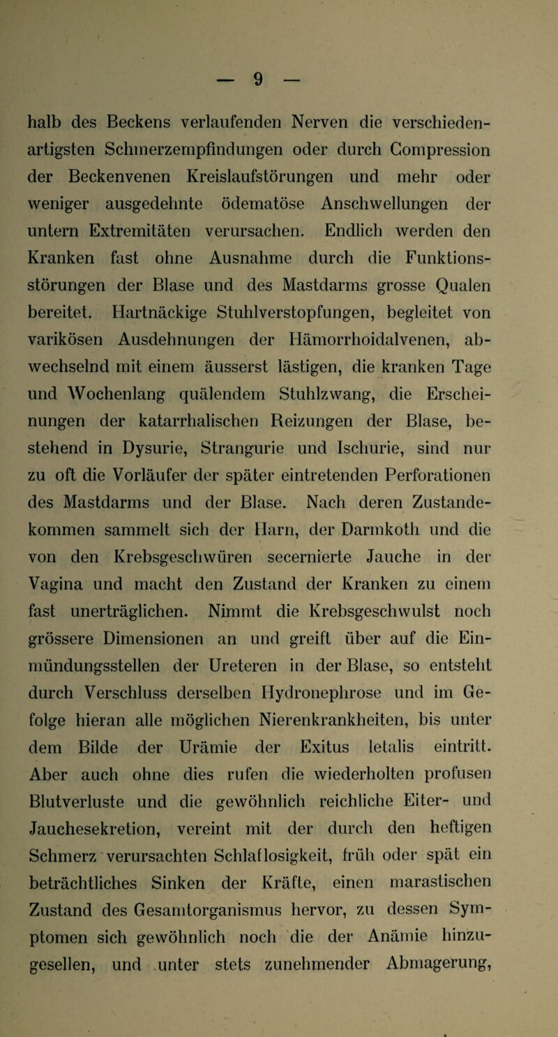 halb des Beckens verlaufenden Nerven die verschieden¬ artigsten Schinerzempfindungen oder durch Compression der Beckenvenen Kreislaufstörungen und mehr oder weniger ausgedehnte ödematöse Anschwellungen der untern Extremitäten verursachen. Endlich werden den Kranken fast ohne Ausnahme durch die Funktions¬ störungen der Blase und des Mastdarms grosse Qualen bereitet. Hartnäckige Stuhlverstopfungen, begleitet von varikösen Ausdehnungen der Hämorrhoidalvenen, ab¬ wechselnd mit einem äusserst lästigen, die kranken Tage und Wochenlang quälendem Stuhlzwang, die Erschei¬ nungen der katarrhalischen Reizungen der Blase, be¬ stehend in Dysurie, Strangurie und Ischurie, sind nur zu oft die Vorläufer der später eintretenden Perforationen des Mastdarms und der Blase. Nach deren Zustande¬ kommen sammelt sich der Harn, der Darmkoth und die von den Krebsgeschwüren secernierte Jauche in der Vagina und macht den Zustand der Kranken zu einem fast unerträglichen. Nimmt die Krebsgeschwulst noch grössere Dimensionen an und greift über auf die Ein¬ mündungsstellen der Ureteren in der Blase, so entsteht durch Verschluss derselben Hydronephrose und im Ge¬ folge hieran alle möglichen Nierenkrankheiten, bis unter dem Bilde der Urämie der Exitus letalis eintritt. Aber auch ohne dies rufen die wiederholten profusen Blutverluste und die gewöhnlich reichliche Eiter- und Jauchesekretion, vereint mit der durch den heftigen Schmerz verursachten Schlaflosigkeit, früh oder spät ein beträchtliches Sinken der Kräfte, einen marastischen Zustand des Gesamtorganismus hervor, zu dessen Sym¬ ptomen sich gewöhnlich noch die der Anämie hinzu¬ gesellen, und unter stets zunehmender Abmagerung,