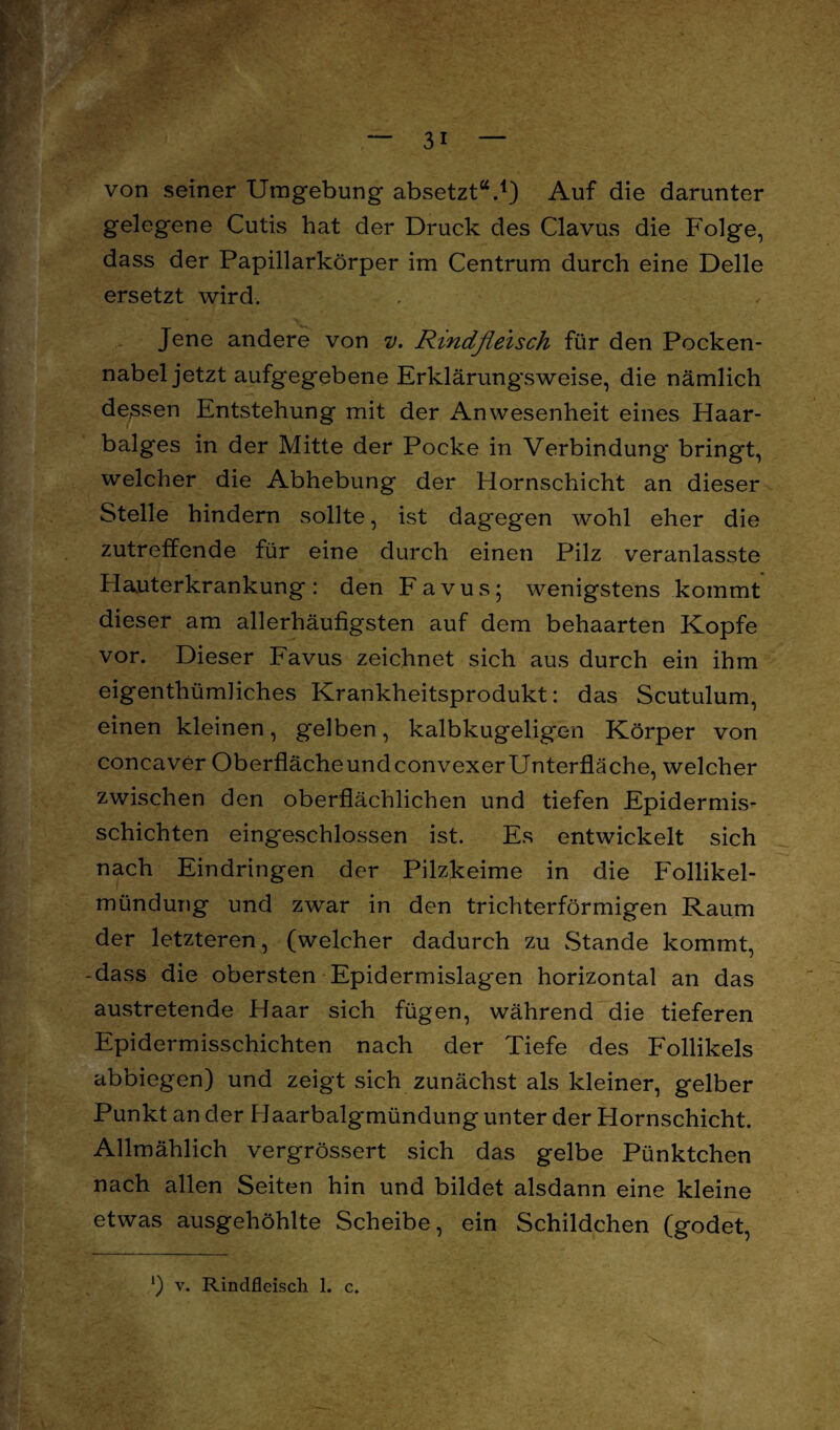 von seiner Umgebung absetzt“.1) Auf die darunter gelegene Cutis hat der Druck des Clavus die Folge, dass der Papillarkörper im Centrum durch eine Delle ersetzt wird. Jene andere von v. Rindfleisch für den Pocken¬ nabel jetzt aufgegebene Erklärungsweise, die nämlich dessen Entstehung mit der Anwesenheit eines Haar¬ balges in der Mitte der Pocke in Verbindung* bringt, welcher die Abhebung der Hornschicht an dieser Stelle hindern sollte, ist dagegen wohl eher die zutreffende für eine durch einen Pilz veranlasste Hauterkrankung: den Favus* wenigstens kommt dieser am allerhäufigsten auf dem behaarten Kopfe vor. Dieser Favus zeichnet sich aus durch ein ihm eigenthümliches Krankheitsprodukt: das Scutulum, einen kleinen, gelben, kalbkugeligen Körper von concaver OberflächeundconvexerUnterfläche, welcher zwischen den oberflächlichen und tiefen Epidermis- schichten eingeschlossen ist. Es entwickelt sich nach Eindringen der Pilzkeime in die Follikel¬ mündung und zwar in den trichterförmigen Raum der letzteren, (welcher dadurch zu Stande kommt, -dass die obersten Epidermislagen horizontal an das austretende Haar sich fügen, während die tieferen Epidermisschichten nach der Tiefe des Follikels abbiegen) und zeigt sich zunächst als kleiner, gelber Punkt an der Haarbalgmündung unter der Hornschicht. Allmählich vergrössert sich das gelbe Pünktchen nach allen Seiten hin und bildet alsdann eine kleine etwas ausgehöhlte Scheibe, ein Schildchen (godet,