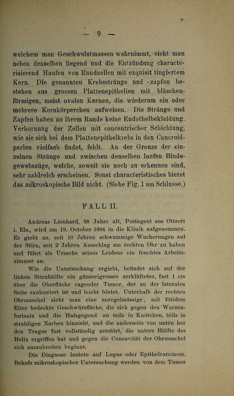 ♦ I - 9 — welchem man Gescliwnlstmassen wahrnimmt, sieht man neben denselben liegend und die Entzündung characte- risierend Haufen von Rundzellen mit exquisit tingiertem Kern. Die genannten Krebsstränge und -zapfen be¬ stehen aus grossen Plattenepithelien mit bläschen¬ förmigen, meist ovalen Kernen, die wiederum ein oder mehrere Kernkörperchen aufweisen. Die Stränge und Zapfen haben an ihrem Rande keine Endothelbekleidung. Verhornung der Zellen mit concentrischer Schichtung, wie sie sich bei dem Plattenepithelkrebs in den Cancroid- perlen vielfach findet, fehlt. An der Grenze der ein¬ zelnen Stränge und zwischen denselben laufen Binde- gewebszüge, welche, soweit sie noch zu erkennen sind, sehr zahlreich erscheinen. Sonst characteristisches bietet das mikroskopische Bild nicht. (Siehe Fig. 1 am Schlüsse.) FALL II. Andreas Lienhard, 58 Jahre alt, Postagent ans Ottrott i. Eis., wird am 19. October 1894 in die Klinik aufgenommen. Er giebt an, seit 10 Jahren schwammige Wucherungen auf der Stirn, seit 2 Jahren Ausschlag am rechten Ohr zu haben und führt als Ursache seines Leidens ein feuchtes Arbeits¬ zimmer an. Wie die Untersuchung ergiebt, befindet sich auf der linken Stirnhälfte ein gänseeigrosser zerklüfteter, fast 1 cm über die Oberfläche ragender Tumor, der an der lateralen Seite exulceriert ist und leicht blutet. Unterhalb der rechten Ohrmuschel sieht man eine unregelmässige, mit fötidem Eiter bedeckte Geschwürsfiäche, die sich gegen den Warzen¬ fortsatz und die Halsgegend zu teils in Knötchen, teils in strahligen Narben hinzieht, und die anderseits von unten her den Tragus fast vollständig zerstört, die untere Hälfte des Helix ergriffen hat und gegen die Concavität der Ohrmuschel sich auszubreiten beginnt. Die Diagnose lautete auf Lupus oder Epithelcarcinom. Behufs mikroskopischer Untersuchung werden von dem Tumor