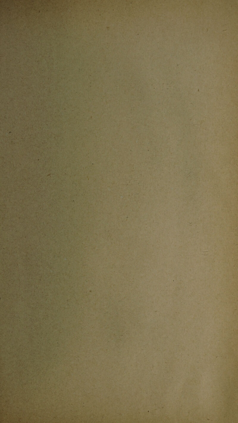 -f r'€ 'V p*V’- ^ ; .1 , \ „ - ' •>. • H'jji * ■