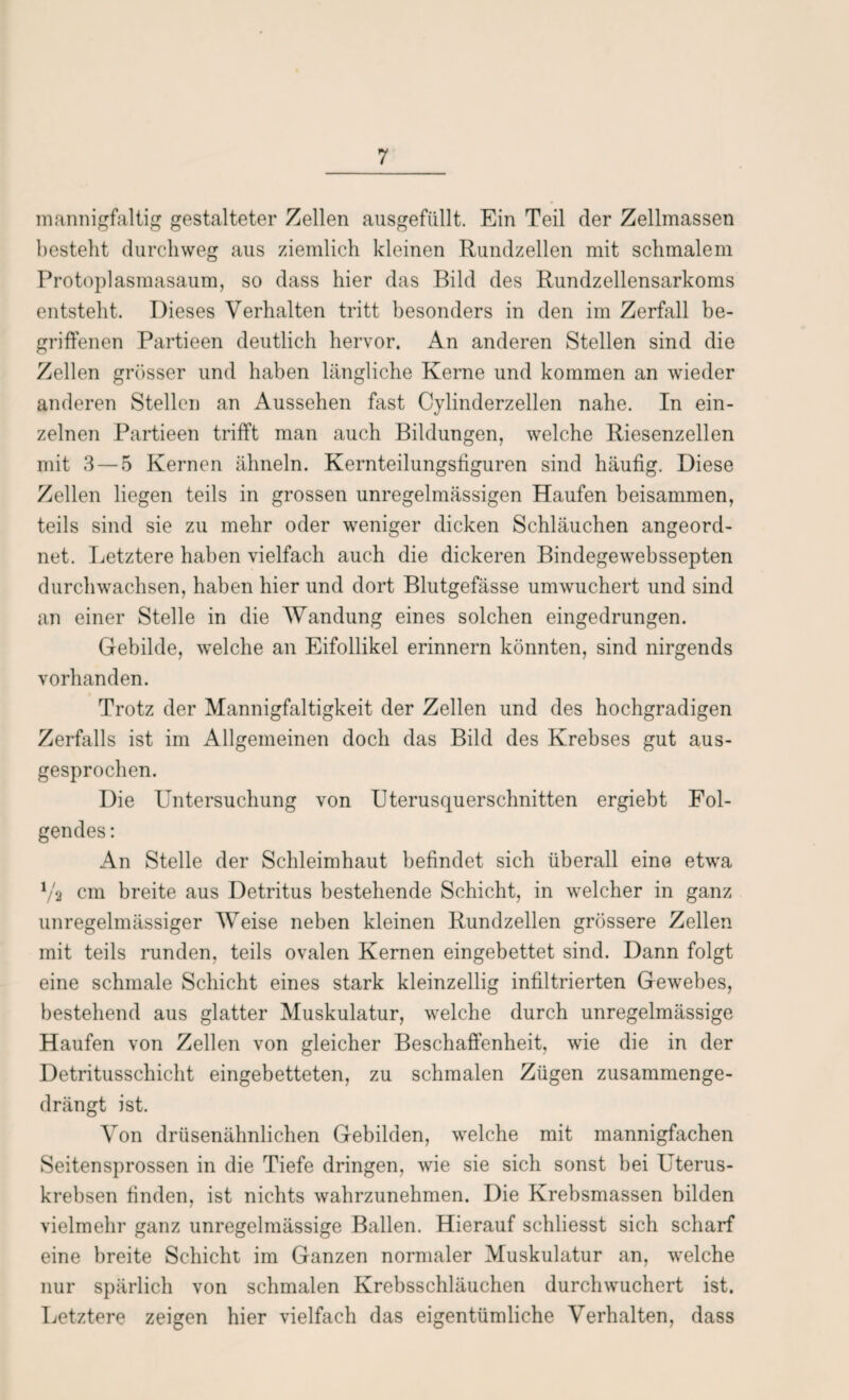 mannigfaltig gestalteter Zellen ausgefüllt. Ein Teil der Zellmassen besteht durchweg aus ziemlich kleinen Randzellen mit schmalem Protoplasmasaum, so dass hier das Bild des Rundzellensarkoms entsteht. Dieses Verhalten tritt besonders in den im Zerfall be¬ griffenen Partieen deutlich hervor. An anderen Stellen sind die Zellen grösser und haben längliche Kerne und kommen an wieder anderen Stellen an Aussehen fast Cylinderzellen nahe. In ein¬ zelnen Partieen trifft man auch Bildungen, welche Riesenzellen mit 3 — 5 Kernen ähneln. Kernteilungsfiguren sind häufig. Diese Zellen liegen teils in grossen unregelmässigen Haufen beisammen, teils sind sie zu mehr oder weniger dicken Schläuchen angeord¬ net. Letztere haben vielfach auch die dickeren Bindegewebssepten durchwachsen, haben hier und dort Blutgefässe umwuchert und sind an einer Stelle in die Wandung eines solchen eingedrungen. Gebilde, welche an Eifollikel erinnern könnten, sind nirgends vorhanden. Trotz der Mannigfaltigkeit der Zellen und des hochgradigen Zerfalls ist im Allgemeinen doch das Bild des Krebses gut aus¬ gesprochen. Die Untersuchung von Uterusquerschnitten ergiebt Fol¬ gendes : An Stelle der Schleimhaut befindet sich überall eine etwa Va cm breite aus Detritus bestehende Schicht, in welcher in ganz unregelmässiger Weise neben kleinen Rundzellen grössere Zellen mit teils runden, teils ovalen Kernen eingebettet sind. Dann folgt eine schmale Schicht eines stark kleinzellig infiltrierten Gewebes, bestehend aus glatter Muskulatur, welche durch unregelmässige Haufen von Zellen von gleicher Beschaffenheit, wie die in der Detritusschicht eingebetteten, zu schmalen Zügen zusammenge¬ drängt ist. Von drüsenähnlichen Gebilden, welche mit mannigfachen Seitensprossen in die Tiefe dringen, wie sie sich sonst bei Uterus¬ krebsen finden, ist nichts wahrzunehmen. Die Krebsmassen bilden vielmehr ganz unregelmässige Ballen. Hierauf schliesst sich scharf eine breite Schicht im Ganzen normaler Muskulatur an, welche nur spärlich von schmalen Krebsschläuchen durchwuchert ist. Letztere zeigen hier vielfach das eigentümliche Verhalten, dass