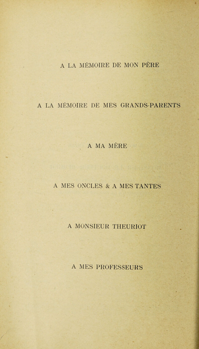 A LA MÉMOIRE DE MON PÈRE A LA MÉMOIRE DE MES GRANDS-PARENTS A MA MÈRE A MES ONCLES & A MES TANTES A MONSIEUR THEURIOT A MES PROFESSEURS