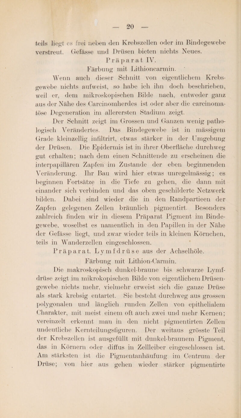 teils liegt es frei neben den Krebszellen oder im Bindegewebe verstreut. Gefässe und Drüsen bieten nichts Neues. Präparat IV. Färbung mit Lithioncarmin. Wenn auch dieser Schnitt von eigentlichem Krebs- Gewebe nichts auf weist, so habe ich ihn doch beschrieben, weil er, dem mikroskopischen Bilde nach, entweder ganz aus der Nähe des Carcinomlierdes ist oder aber die earcinoma- töse Degeneration im allerersten Stadium zeigt. Der Schnitt zeigt im Grossen und Ganzen wenig patho¬ logisch Verändertes. Das Bindegewebe ist in mässigem Grade kleinzellig infiltrirt, etwas stärker in der Umgebung der Drüsen. Die Epidermis ist in ihrer Oberfläche durchweg gut erhalten; nach dem einen Schnittende zu erscheinen die interpapillären Zapfen im Zustande der eben beginnenden Veränderung. Ihr Bau wird hier etwas unregelmässig; es beginnen Fortsätze in die Tiefe zu gehen, die dann mit einander sich verbinden und das oben geschilderte Netzwerk bilden. Dabei sind wieder die in den Randpartieen der Zapfen gelegenen Zellen bräunlich pigmentirt. Besonders zahlreich finden wir in diesem Präparat Pigment im Binde¬ gewebe, woselbst es namentlich in den Papillen in der Nähe der Gefässe liegt, und zwar wieder teils in kleinen Körnchen, teils in Wanderzellen eingeschlossen. Präparat. Lymfdrüse aus der Achselhöle. Färbung mit Lithion-Carmin. Die makroskopisch dunkel-braune bis schwarze Lymf¬ drüse zeigt im mikrokopischen Bilde von eigentlichem Drüsen- gewebe nichts mehr, vielmehr erweist sich die ganze Drüse als stark krebsig entartet. Sie besteht durchweg aus grossen polygonalen und länglich runden Zellen von epithelialem Charakter, mit meist einem oft auch zwei und mehr Kernen; vereinzelt erkennt man in den nicht pigmentirten Zellen undeutliche Kernteilungsfiguren. Der weitaus grösste Teil der Krebszellen ist ausgefüllt mit dunkel-braunem Pigment, das in Körnern oder diffus in Zellleiber eingeschlossen ist. Am stärksten ist die Pigmentanhäufung im Centrum der Drüse; von hier aus gehen wieder stärker pigmentirte