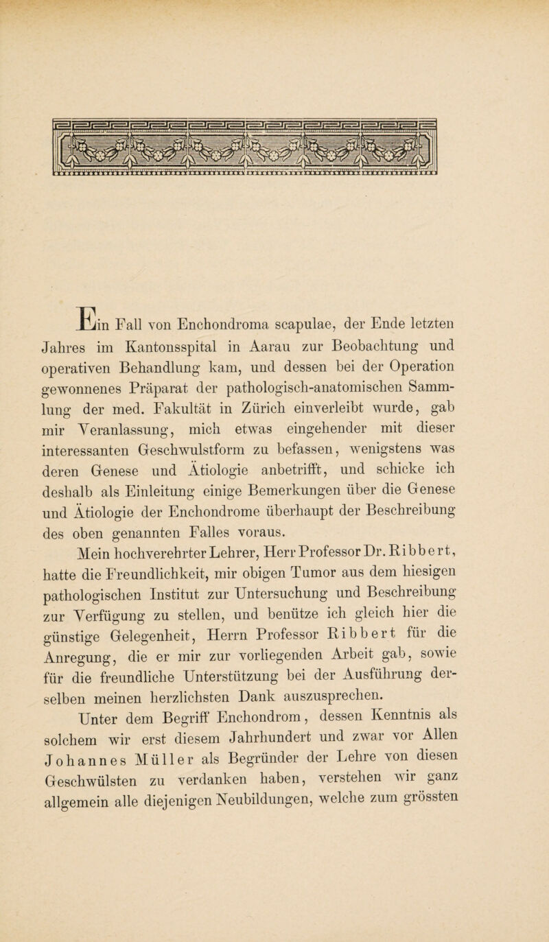 Ein Fall von Enchondroma scapulae, der Ende letzten Jahres im Kantonsspital in Aarau zur Beobachtung und operativen Behandlung kam, und dessen bei der Operation gewonnenes Präparat der pathologisch-anatomischen Samm¬ lung der med. Fakultät in Zürich einverleibt wurde, gab mir Veranlassung, mich etwas eingehender mit dieser interessanten Geschwulstform zu befassen, wenigstens was deren Genese und Ätiologie anbetrifft, und schicke ich deshalb als Einleitung einige Bemerkungen über die Genese und Ätiologie der Enchondrome überhaupt der Beschreibung des oben genannten Falles voraus. Mein hochverehrter Lehrer, Herr Professor Er. Bibbert, hatte die Freundlichkeit, mir obigen Tumor aus dem hiesigen pathologischen Institut zur Untersuchung und Beschreibung zur Verfügung zu stellen, und benütze ich gleich hier die günstige Gelegenheit, Herrn Professor Bibbert für die Anregung, die er mir zur vorliegenden Arbeit gab, sowie für die freundliche Unterstützung bei der Ausführung der¬ selben meinen herzlichsten Dank auszusprechen. Unter dem Begriff Enchondrom, dessen Kenntnis als solchem wir erst diesem Jahrhundert und zwar vor Allen Johannes Müller als Begründer der Lehre von diesen Geschwülsten zu verdanken haben, verstehen vir ganz allgemein alle diejenigen Neubildungen, welche zum grössten