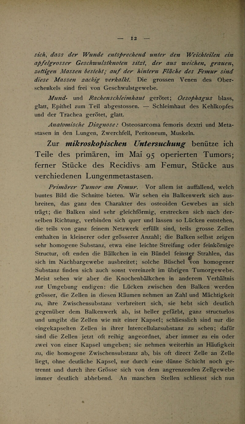 sich*, dass der Wunde entsprechend unter den Weichteilen ein apfelgrosser Geschwulstknoten sitzt, der aus weichen, gratien^ zottigen Massen besteht • auf der hintern Fläche des Femur sind diese Massen zackig verkalkt. Die grossen Venen des Ober¬ schenkels sind frei von Geschwulstgewebe. Mtind- und Rachenschleimhaut gerötet; Oesophagus blass, glatt, Epithel zum Teil abgestossen. — Schleimhaut des Kehlkopfes und der Trachea gerötet, glatt. Anatomische Diagnose: Osteosarcoma femoris dextri und Meta¬ stasen in den Lungen, Zwerchfell, Peritoneum, Muskeln. Zur mikroskopischen Untersuchung benütze ich Teile des primären, im Mai 95 operierten Tumors; ferner Stücke des Recidivs am Femur, Stücke aus verchiedenen Lungenmetastasen. Primärer Tumor am Femur. Vor allem ist auffallend, welch buntes Bild die Schnitte bieten. Wir sehen ein Balkenwerk sich aus¬ breiten, das ganz den Charakter des osteoiden Gewebes an sich trägt; die Balken sind sehr gleichförmig, erstrecken sich nach der¬ selben Richtung, verbinden sich quer und lassen so Lücken entstehen, die teils von ganz feinem Netzwerk erfüllt sind, teils grosse Zellen enthalten in kleinerer oder grösserer Anzahl; die Balken selbst zeigen sehr homogene Substanz, etwa eine leichte Streifung oder feinkörnige Structur, oft enden die Bälkchen in ein Bündel feinster Strahlen, das sich im Nachbargewebe ausbreitet; solche Büschel von homogener Substanz finden sich auch sonst vereinzelt im übrigen Tumorgewebe. Meist sehen wir aber die Knochenbälkchen in anderem Verhältnis zur Umgebung endigen: die Lücken zwischen den Balken werden grösser, die Zellen in diesen Räumen nehmen an Zahl und Mächtigkeit zu, ihre Zwischensubstanz verbreitert sich, sie hebt sich deutlich gegenüber dem Balkenwerk ab, ist heller gefärbt, ganz structurlos und umgibt die Zellen wie mit einer Kapsel; schliesslich sind nur die eingekapselten Zellen in ihrer Intercellularsubstanz zu sehen; dafür sind die Zellen jetzt oft reihig angeordnet, aber immer zu ein oder zwei von einer Kapsel umgeben; sie nehmen weiterhin an Häufigkeit zu, die homogene Zwischensubstanz ab, bis oft direct Zelle an Zelle liegt, ohne deutliche Kapsel, nur durch eine dünne Schicht noch ge¬ trennt und durch ihre Grösse sich von dem angrenzenden Zellgewebe immer deutlich abhebend. An manchen Stellen schliesst sich nun