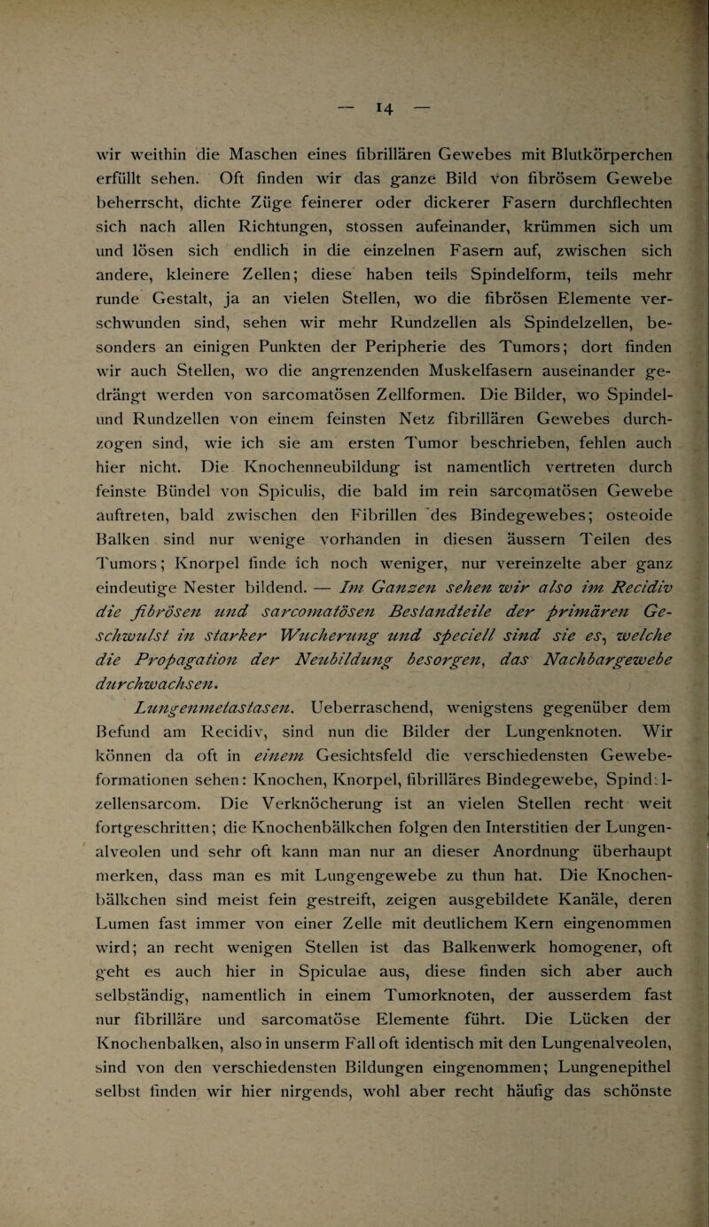 H wir weithin die Maschen eines fibrillären Gewebes mit Blutkörperchen erfüllt sehen. Oft finden wir das ganze Bild von fibrösem Gewebe beherrscht, dichte Züge feinerer oder dickerer Fasern durchflechten sich nach allen Richtungen, stossen aufeinander, krümmen sich um und lösen sich endlich in die einzelnen Fasern auf, zwischen sich andere, kleinere Zellen; diese haben teils Spindelform, teils mehr runde Gestalt, ja an vielen Stellen, wo die fibrösen Elemente ver¬ schwunden sind, sehen wir mehr Rundzellen als Spindelzellen, be¬ sonders an einigen Punkten der Peripherie des Tumors; dort finden wir auch Stellen, wo die angrenzenden Muskelfasern auseinander ge¬ drängt werden von sarcomatösen Zellformen. Die Bilder, wo Spindel¬ und Rundzellen von einem feinsten Netz fibrillären Gewebes durch¬ zogen sind, wie ich sie am ersten Tumor beschrieben, fehlen auch hier nicht. Die Knochenneubildung ist namentlich vertreten durch feinste Bündel von Spiculis, die bald im rein sarcomatösen Gewebe auftreten, bald zwischen den Fibrillen des Bindegewebes; osteoide Balken sind nur wenige vorhanden in diesen äussern Teilen des Tumors; Knorpel finde ich noch weniger, nur vereinzelte aber ganz eindeutige Nester bildend. — Im Gänsen sehen wir also im Recidiv die fibrösen tmd sarcomatösen Bestandteile der primären Ge¬ schwulst in starker Wucherung tmd speciell sind sie welche die Propagation der Neubildung besorgen, das Nachbargewebe durchwachsen. Lungenmetastasen. Ueberraschend, wenigstens gegenüber dem Befund am Recidiv, sind nun die Bilder der Lungenknoten. Wir können da oft in einem Gesichtsfeld die verschiedensten Gewebe¬ formationen sehen: Knochen, Knorpel, fibrilläres Bindegewebe, Spind; 1- zellensarcom. Die Verknöcherung ist an vielen Stellen recht weit fortgeschritten; die Knochenbälkchen folgen den Interstitien der Lungen¬ alveolen und sehr oft kann man nur an dieser Anordnung überhaupt merken, dass man es mit Lungengewebe zu thun hat. Die Knochen¬ bälkchen sind meist fein gestreift, zeigen ausgebildete Kanäle, deren Lumen fast immer von einer Zelle mit deutlichem Kern eingenommen wird; an recht wenigen Stellen ist das Balkenwerk homogener, oft geht es auch hier in Spiculae aus, diese finden sich aber auch selbständig, namentlich in einem Tumorknoten, der ausserdem fast nur fibrilläre und sarcomatöse Elemente führt. Die Lücken der Knochenbalken, also in unserm Fall oft identisch mit den Lungenalveolen, sind von den verschiedensten Bildungen eingenommen; Lungenepithel selbst finden wir hier nirgends, wohl aber recht häufig das schönste