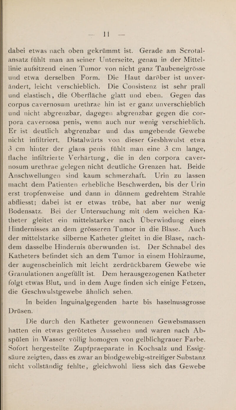 dabei etwas nach oben gekrümmt ist. Gerade am Scrotal- ansatz fühlt man an seiner Unterseite, genau in der Mittel¬ linie aufsitzend einen Tumor von nicht ganz Taubeneigrösse und etwa derselben Form. Die flaut darüber ist unver¬ ändert, leicht verschieblich. Die Consistenz ist sehr prall und elastisch, die Oberfläche glatt und eben. Gegen das corpus cavernosum urethrae hin ist er ganz unverschieblich und nicht abgrenzbar, dagegen abgrenzbar gegen die Cor¬ pora cavernosa penis, wenn auch nur wenig verschieblich. Er ist deutlich abgrenzbar und das umgebende Gewebe nicht infiltriert. Distalwärts von dieser Gesbhwulst etwa 3 cm hinter der glans penis fühlt man eine 3 cm lange, flache infiltrierte Verhärtung, die in den Corpora caver¬ nosum urethrae gelegen nicht deutliche Grenzen hat. Beide Anschwellungen sind kaum schmerzhaft. Urin zu lassen macht dem Patienten erhebliche Beschwerden, bis der Urin erst tropfenweise und dann in dünnem gedrehtem Strahle abfliesst; dabei ist er etwas trübe, hat aber nur wenig Bodensatz. Bei der Untersuchung mit dem weichen Ka¬ theter gleitet ein mittelstarker nach Überwindung eines Hindernisses an dem grösseren Tumor in die Blase. Auch der mittelstarke silberne Katheter gleitet in die Blase, nach¬ dem dasselbe Hindernis überwunden ist. Der Schnabel des Katheters befindet sich an dem Tumor in einem Hohlraume, der augenscheinlich mit leicht zerdrückbarem Gewebe wie Granulationen angefüllt ist. Dem herausgezogenen Katheter folgt etwas Blut, und in dem Auge finden sich einige Fetzen, die Geschwulstgewebe ähnlich sehen. In beiden Inguinalgegenden harte bis haselnussgrosse Drüsen. Die durch den Katheter gewonnenen Gewebsmassen hatten ein etwas gerötetes Aussehen und waren nach Ab¬ spülen in Wasser völlig homogen von gelblichgrauer Farbe. Sofort hergestellte Zupfpraeparate in Kochsalz und Essig¬ säure zeigten, dass es zwar an bindgewebig-streifiger Substanz nicht vollständig fehlte, gleichwohl liess sich das Gewrebe