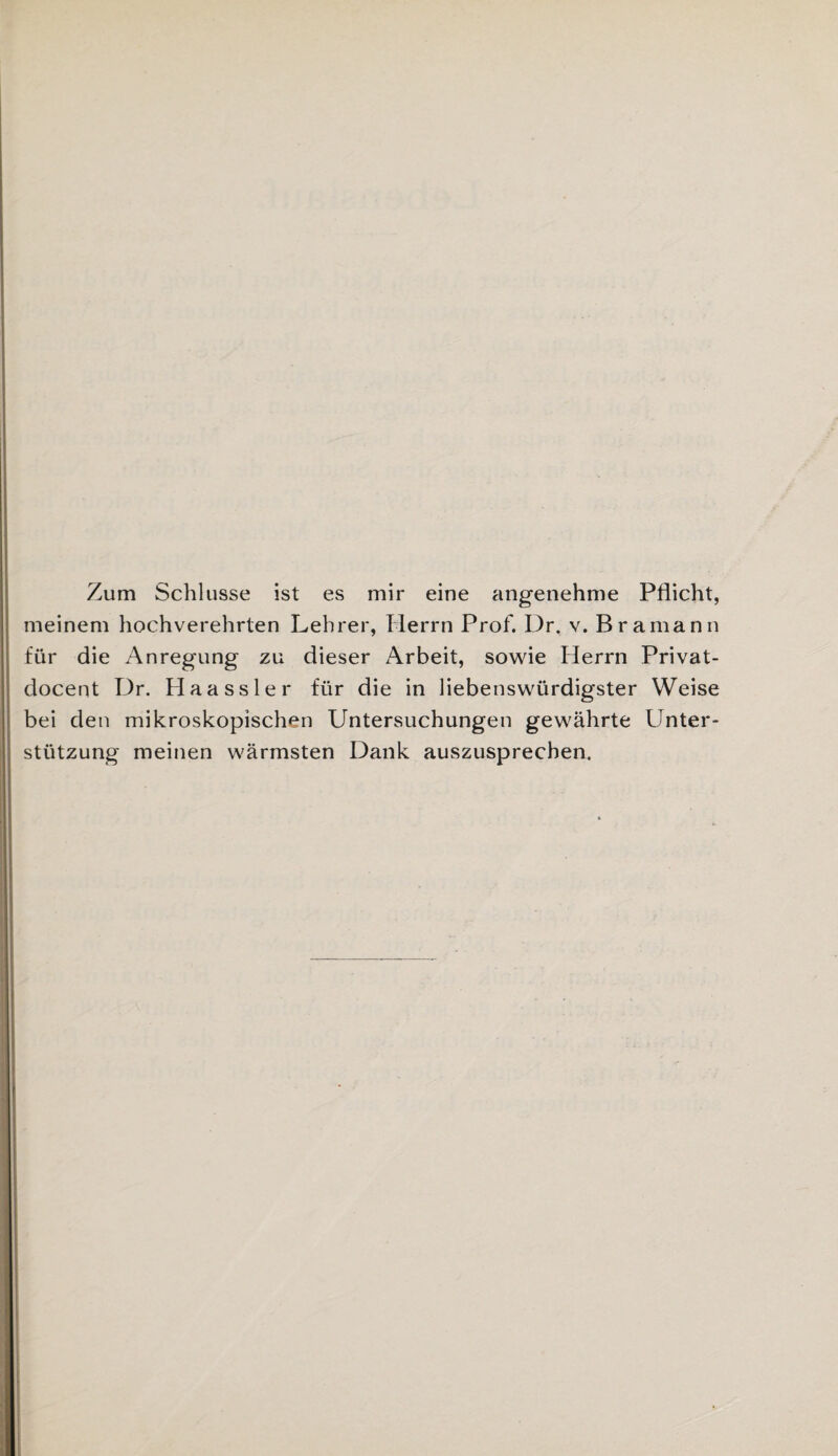 Zum Schlüsse ist es mir eine angenehme Pflicht, meinem hochverehrten Lehrer, Herrn Prof. Dr. v. Bramann für die Anregung zu dieser Arbeit, sowie Herrn Privat- docent Dr. Haussier für die in liebenswürdigster Weise bei den mikroskopischen Untersuchungen gewährte Unter¬ stützung meinen wärmsten Dank auszusprechen.