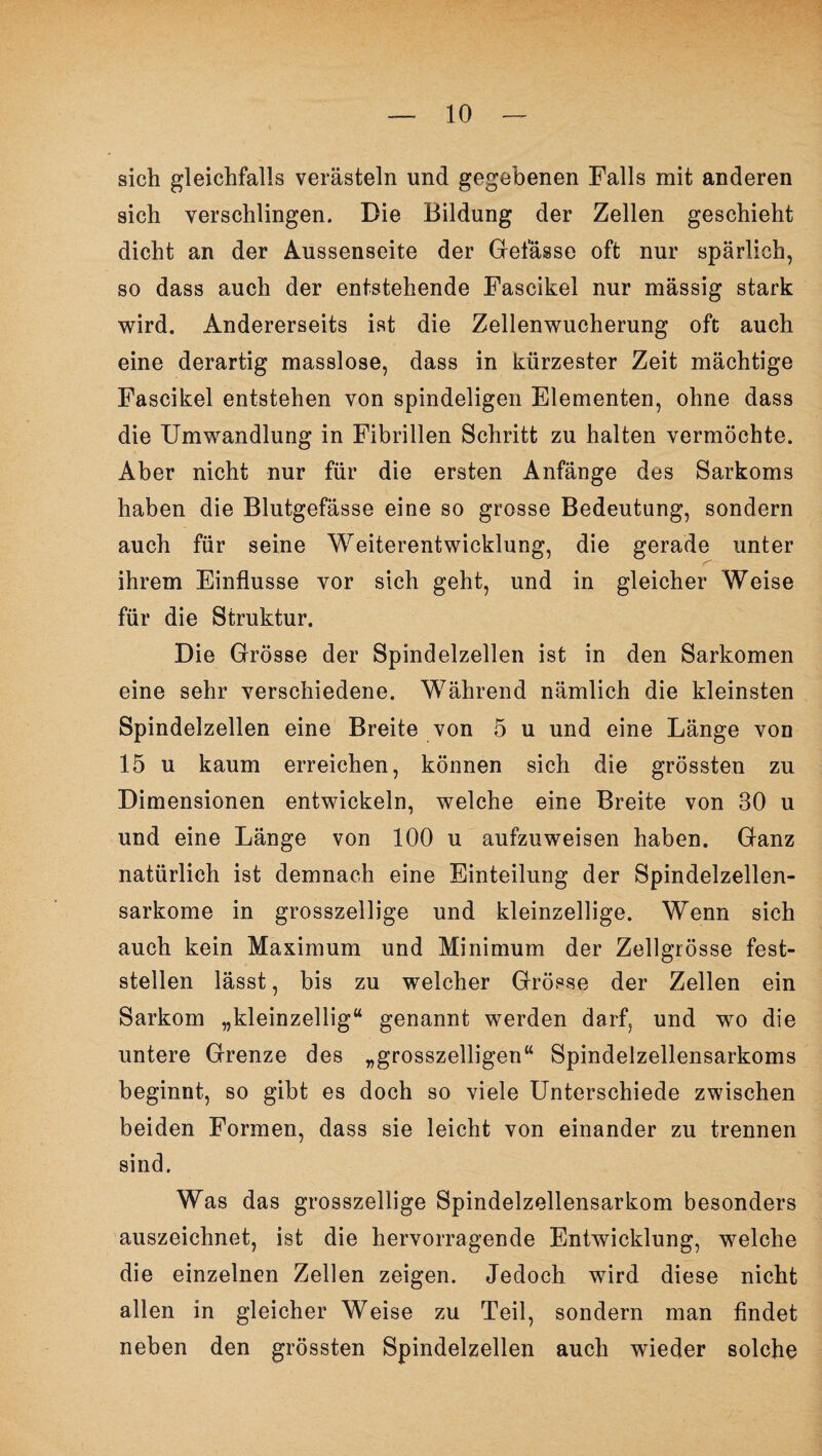 sich gleichfalls verästeln und gegebenen Falls mit anderen sich verschlingen. Die Bildung der Zellen geschieht dicht an der Aussenseite der Gefässe oft nur spärlich, so dass auch der entstehende Fascikel nur mässig stark wird. Andererseits ist die Zellenwucherung oft auch eine derartig masslose, dass in kürzester Zeit mächtige Fascikel entstehen von spindeligen Elementen, ohne dass die Umwandlung in Fibrillen Schritt zu halten vermöchte. Aber nicht nur für die ersten Anfänge des Sarkoms haben die Blutgefässe eine so grosse Bedeutung, sondern auch für seine Weiterentwicklung, die gerade unter ihrem Einflüsse vor sich geht, und in gleicher Weise für die Struktur. Die Grösse der Spindelzellen ist in den Sarkomen eine sehr verschiedene. Während nämlich die kleinsten Spindelzellen eine Breite von 5 u und eine Länge von 15 u kaum erreichen, können sich die grössten zu Dimensionen entwickeln, welche eine Breite von 30 u und eine Länge von 100 u aufzuweisen haben. Ganz natürlich ist demnach eine Einteilung der Spindelzellen¬ sarkome in grosszeilige und kleinzellige. Wenn sich auch kein Maximum und Minimum der Zellgrösse fest¬ stellen lässt, bis zu welcher Grösse der Zellen ein Sarkom „kleinzellig“ genannt werden darf, und wo die untere Grenze des „grosszelligen“ Spindelzellensarkoms beginnt, so gibt es doch so viele Unterschiede zwischen beiden Formen, dass sie leicht von einander zu trennen sind. Was das grosszellige Spindelzellensarkom besonders auszeichnet, ist die hervorragende Entwicklung, welche die einzelnen Zellen zeigen. Jedoch wird diese nicht allen in gleicher Weise zu Teil, sondern man findet neben den grössten Spindelzellen auch wieder solche