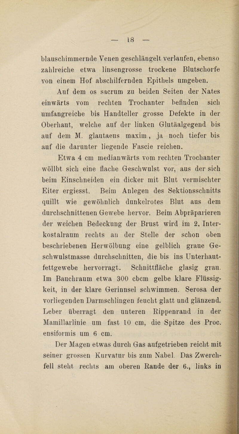 blauschimmernde Venen gesclilärigelt verlaufen, ebenso zahlreiche etwa linsengrosse trockene Blutscliorfe von einem Hof abschilfernden Epithels umgeben. Auf dem os sacrum zu beiden Seiten der Nates einwärts vom rechten Trochanter befinden sich umfangreiche bis Handteller grosse Defekte in der Oberhaut, welche auf der linken Glutäalgegend bis auf dem M. glautaeus maxim , ja noch tiefer bis auf die darunter liegende Fascie reichen. Etwa 4 cm medianwärts vom rechten Trochanter wöllbt sich eine flache Geschwulst vor, aus der sich beim Einschneiden ein dicker mit Blut vermischter Eiter ergiesst. Beim Anlegen des Sektionsschnitts quillt wie gewöhnlich dunkelrotes Blut aus dem durchschnittenen Gewebe hervor. Beim Abpräparieren der weichen Bedeckung der Brust wird im 2, Inter¬ kostalraum rechts an der Stelle der schon oben beschriebenen Herwölbung eine gelblich graue Ge¬ schwulstmasse durchschnitten, die bis ins Unterhaut¬ fettgewebe hervorragt. Schnittfläche glasig grau. Im Bauchraum etwa 300 cbcm gelbe klare Flüssig¬ keit, in der klare Gerinnsel schwimmen. Serosa der vorliegenden Darmschlingen feucht glatt und glänzend. Leber überragt den unteren Rippenrand in der Mamillarlinie um fast 10 cm, die Spitze des Proc. ensiformis um 6 cm. Der Magen etwas durch Gas aufgetrieben reicht mit seiner grossen Kurvatur bis zum Nabel. Das Zwerch¬ fell steht rechts am oberen Rande der 6., links in