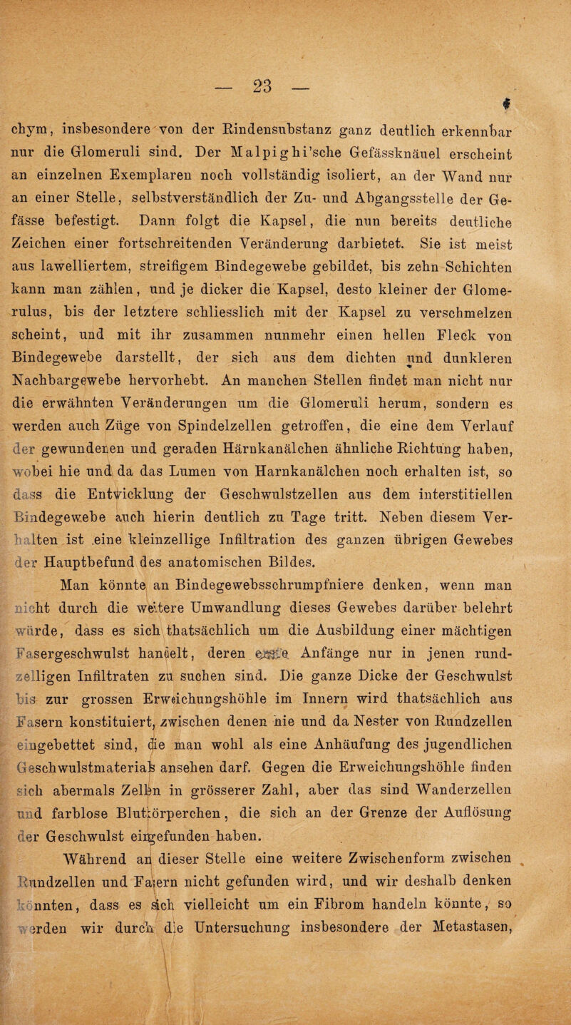 * chym, insbesondere von der Rindensubstanz ganz deutlich erkennbar nur die Glomeruli sind. Der Malpigbi’sche Gefässknäuel erscheint an einzelnen Exemplaren noch vollständig isoliert, an der Wand nur an einer Stelle, selbstverständlich der Zu- und Abgangsstelle der Ge- fässe befestigt. Dann folgt die Kapsel, die nun bereits deutliche Zeichen einer fortschreitenden Veränderung darbietet. Sie ist meist aus lawelliertem, streifigem Bindegewebe gebildet, bis zehn Schichten kann man zählen, und je dicker die Kapsel, desto kleiner der Glome- rulus, bis der letztere schliesslich mit der Kapsel zu verschmelzen scheint, und mit ihr zusammen nunmehr einen hellen Fleck von Bindegewebe darstellt, der sich aus dem dichten und dunkleren Nachbargewebe hervorhebt. An manchen Stellen findet man nicht nur die erwähnten Veränderungen um die Glomeruli herum, sondern es werden auch Züge von Spindelzellen getroffen, die eine dem Verlauf der gewundenen und geraden Härnkanälchen ähnliche Richtung haben, ■wobei hie und da das Lumen von Harnkanälchen noch erhalten ist, so dass die Entwicklung der Geschwulstzellen aus dem interstitiellen Bindegewebe auch hierin deutlich zu Tage tritt. Neben diesem Ver- 1 Lten ist eine kleinzellige Infiltration des ganzen übrigen Gewebes der Hauptbefund des anatomischen Bildes. Man könnte an Bindegewebsschrumpfniere denken, wenn man nicht durch die weitere Umwandlung dieses Gewebes darüber belehrt würde, dass es sich thatsächlich um die Ausbildung einer mächtigen Fasergeschwulst handelt, deren. Qjg&'e Anfänge nur in jenen rund- welligen Infiltraten zu suchen sind. Die ganze Dicke der Geschwulst bis- zur grossen Erweichungshöhle im Innern wird thatsächlich aus Fasern konstituiert, zwischen denen hie und da Nester von Rundzellen eingebettet sind, die man wohl als eine Anhäufung des jugendlichen Geschwulstmateriafe ansehen darf. Gegen die Erweichungshöhle finden sich abermals Zelbn in grösserer Zahl, aber das sind Wanderzellen und farblose Blutkörperchen, die sich an der Grenze der Auflösung der Geschwulst eingefunden haben. Während ah dieser Stelle eine weitere Zwischenform zwischen Rnndzellen und Faiern nicht gefunden wird, und wir deshalb denken nnten, dass es äch vielleicht um ein Fibrom handeln könnte, so jrden wir durch die Untersuchung insbesondere der Metastasen, \