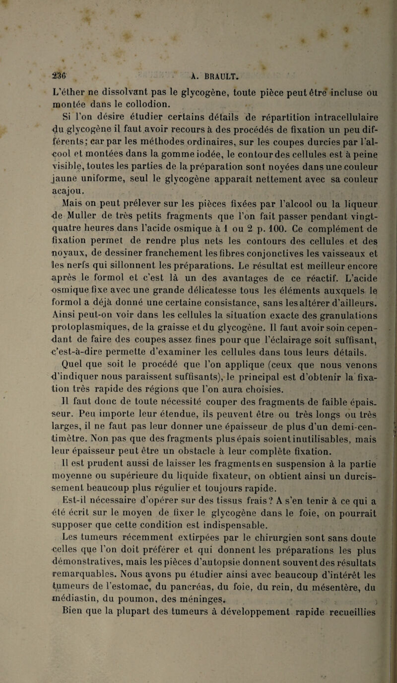 L’éther ne dissolvant pas le glycogène, toute pièce peut être incluse ou montée dans le collodion. Si l’on désire étudier certains détails de répartition intracellulaire du glycogène il faut avoir recours à des procédés de fixation un peu dif¬ férents; car par les méthodes ordinaires, sur les coupes durcies par l’al¬ cool et montées dans la gomme iodée, le contour des cellules est à peine visible, toutes les parties de la préparation sont noyées dans une couleur jaune uniforme, seul le glycogène apparaît nettement avec sa couleur acajou. Mais on peut prélever sur les pièces fixées par l’alcool ou la liqueur de Muller de très petits fragments que l’on fait passer pendant vingt- quatre heures dans l’acide osmique à 1 ou 2 p. 100. Ce complément de fixation permet de rendre plus nets les contours des cellules et des noyaux, de dessiner franchement les fibres conjonctives les vaisseaux et les nerls qui sillonnent les préparations. Le résultat est meilleur encore après le formol et c’est là un des avantages de ce réactif. L’acide osmique fixe avec une grande délicatesse tous les éléments auxquels le formol a déjà donné une certaine consistance, sans les altérer d’ailleurs. Ainsi peut-on voir dans les cellules la situation exacte des granulations protoplasmiques, de la graisse et du glycogène. Il faut avoir soin cepen¬ dant de faire des coupes assez fines pour que l’éclairage soit suffisant, c’est-à-dire permette d’examiner les cellules dans tous leurs détails. Quel que soit le procédé que l’on applique (ceux que nous venons d’indiquer nous paraissent suffisants), le principal est d’obtenir la fixa¬ tion très rapide des régions que l’on aura choisies. Il faut donc de toute nécessité couper des fragments de faible épais¬ seur. Peu importe leur étendue, ils peuvent être ou très longs ou très larges, il ne faut pas leur donner une épaisseur de plus d’un demi-cen¬ timètre. Non pas que des fragments plusépais soient inutilisables, mais leur épaisseur peut être un obstacle à leur complète fixation. Il est prudent aussi de laisser les fragments en suspension à la partie moyenne ou supérieure du liquide fixateur, on obtient ainsi un durcis¬ sement beaucoup plus régulier et toujours rapide. Est-il nécessaire d’opérer sur des tissus frais? A s’en tenir à ce qui a été écrit sur le moyen de fixer le glycogène dans le foie, on pourrait supposer que cette condition est indispensable. Les tumeurs récemment extirpées par le chirurgien sont sans doute celles que l’on doit préférer et qui donnent les préparations les plus démonstratives, mais les pièces d’autopsie donnent souvent des résultats remarquables. Nous avons pu étudier ainsi avec beaucoup d’intérêt les tumeurs de l’estomac, du pancréas, du foie, du rein, du mésentère, du médiastin, du poumon, des méninges. Bien que la plupart des tumeurs à développement rapide recueillies