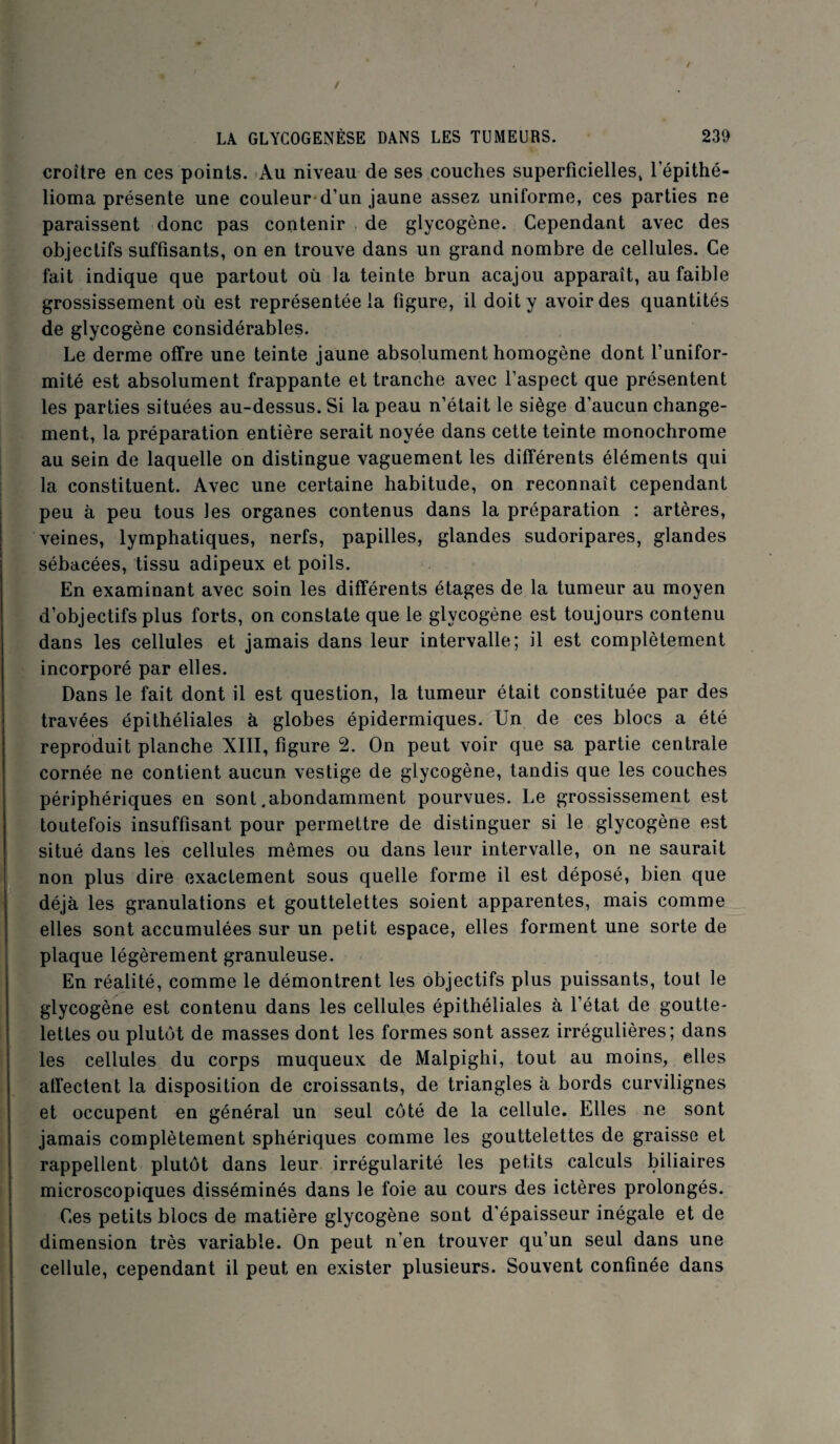 croître en ces points. Au niveau de ses couches superficielles, l’épithé- lioma présente une couleur d’un jaune assez uniforme, ces parties ne paraissent donc pas contenir de glycogène. Cependant avec des objectifs suffisants, on en trouve dans un grand nombre de cellules. Ce fait indique que partout où la teinte brun acajou apparaît, au faible grossissement où est représentée la figure, il doit y avoir des quantités de glycogène considérables. Le derme offre une teinte jaune absolument homogène dont l’unifor¬ mité est absolument frappante et tranche avec l’aspect que présentent les parties situées au-dessus. Si la peau n’était le siège d'aucun change¬ ment, la préparation entière serait noyée dans cette teinte monochrome au sein de laquelle on distingue vaguement les différents éléments qui la constituent. Avec une certaine habitude, on reconnaît cependant peu à peu tous les organes contenus dans la préparation : artères, veines, lymphatiques, nerfs, papilles, glandes sudoripares, glandes sébacées, tissu adipeux et poils. En examinant avec soin les différents étages de la tumeur au moyen d’objectifs plus forts, on constate que le glycogène est toujours contenu dans les cellules et jamais dans leur intervalle; il est complètement incorporé par elles. Dans le fait dont il est question, la tumeur était constituée par des travées épithéliales à globes épidermiques. Un de ces blocs a été reproduit planche XIII, figure 2. On peut voir que sa partie centrale cornée ne contient aucun vestige de glycogène, tandis que les couches périphériques en sont .abondamment pourvues. Le grossissement est toutefois insuffisant pour permettre de distinguer si le glycogène est situé dans les cellules mêmes ou dans leur intervalle, on ne saurait non plus dire exactement sous quelle forme il est déposé, bien que déjà les granulations et gouttelettes soient apparentes, mais comme elles sont accumulées sur un petit espace, elles forment une sorte de plaque légèrement granuleuse. En réalité, comme le démontrent les objectifs plus puissants, tout le glycogène est contenu dans les cellules épithéliales à l’état de goutte¬ lettes ou plutôt de masses dont les formes sont assez irrégulières; dans les cellules du corps muqueux de Malpighi, tout au moins, elles affectent la disposition de croissants, de triangles à bords curvilignes et occupent en général un seul côté de la cellule. Elles ne sont jamais complètement sphériques comme les gouttelettes de graisse et rappellent plutôt dans leur irrégularité les petits calculs biliaires microscopiques disséminés dans le foie au cours des ictères prolongés. Ces petits blocs de matière glycogène sont d'épaisseur inégale et de dimension très variable. On peut n’en trouver qu’un seul dans une cellule, cependant il peut en exister plusieurs. Souvent confinée dans