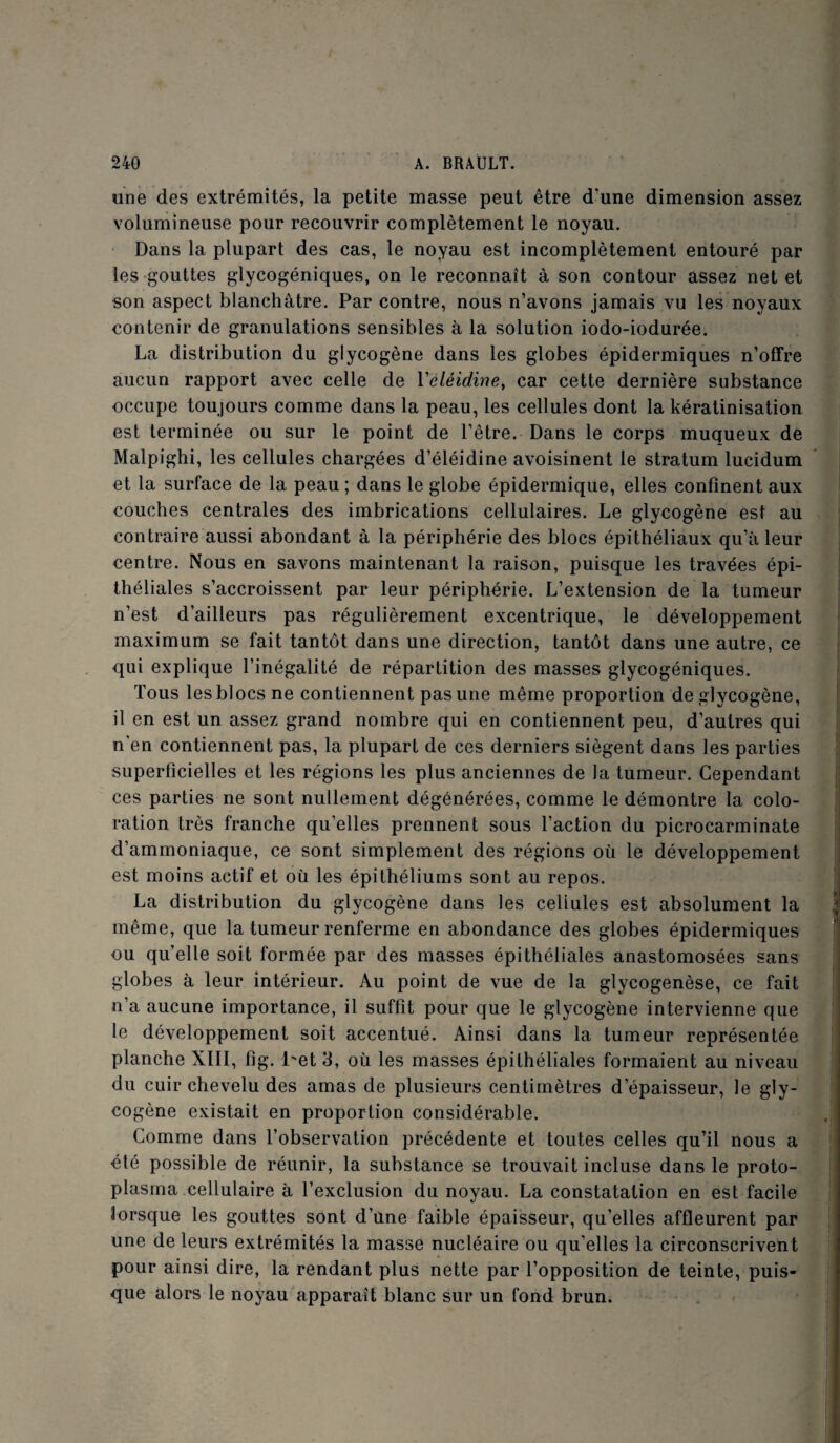 une des extrémités, la petite masse peut être d'une dimension assez volumineuse pour recouvrir complètement le noyau. Dans la plupart des cas, le noyau est incomplètement entouré par les gouttes glycogéniques, on le reconnaît à son contour assez net et son aspect blanchâtre. Par contre, nous n’avons jamais vu les noyaux contenir de granulations sensibles à la solution iodo-iodurée. La distribution du glycogène dans les globes épidermiques n’offre aucun rapport avec celle de Yéléidine, car cette dernière substance occupe toujours comme dans la peau, les cellules dont la kératinisation est terminée ou sur le point de l’être. Dans le corps muqueux de Malpighi, les cellules chargées d’éléidine avoisinent le stratum lucidum et la surface de la peau ; dans le globe épidermique, elles confinent aux couches centrales des imbrications cellulaires. Le glycogène est au contraire aussi abondant à la périphérie des blocs épithéliaux qu’à leur centre. Nous en savons maintenant la raison, puisque les travées épi¬ théliales s’accroissent par leur périphérie. L’extension de la tumeur n’est d’ailleurs pas régulièrement excentrique, le développement maximum se fait tantôt dans une direction, tantôt dans une autre, ce qui explique l’inégalité de répartition des masses glycogéniques. Tous les blocs ne contiennent pas une même proportion de glycogène, il en est un assez grand nombre qui en contiennent peu, d’autres qui n'en contiennent pas, la plupart de ces derniers siègent dans les parties superficielles et les régions les plus anciennes de la tumeur. Cependant ces parties ne sont nullement dégénérées, comme le démontre la colo¬ ration très franche qu’elles prennent sous l’action du picrocarminate d’ammoniaque, ce sont simplement des régions où le développement est moins actif et où les épithéliums sont au repos. La distribution du glycogène dans les cellules est absolument la même, que la tumeur renferme en abondance des globes épidermiques ou quelle soit formée par des masses épithéliales anastomosées sans globes à leur intérieur. Au point de vue de la glycogenèse, ce fait n’a aucune importance, il suffit pour que le glycogène intervienne que le développement soit accentué. Ainsi dans la tumeur représentée planche XIII, fig. l'et 3, où les masses épithéliales formaient au niveau du cuir chevelu des amas de plusieurs centimètres d’épaisseur, le gly¬ cogène existait en proportion considérable. Comme dans l’observation précédente et toutes celles qu’il nous a été possible de réunir, la substance se trouvait incluse dans le proto¬ plasma cellulaire à l’exclusion du noyau. La constatation en est facile lorsque les gouttes sont d’une faible épaisseur, qu’elles affleurent par une de leurs extrémités la masse nucléaire ou qu’elles la circonscrivent pour ainsi dire, la rendant plus nette par l’opposition de teinte, puis¬ que alors le noyau apparaît blanc sur un fond brun.