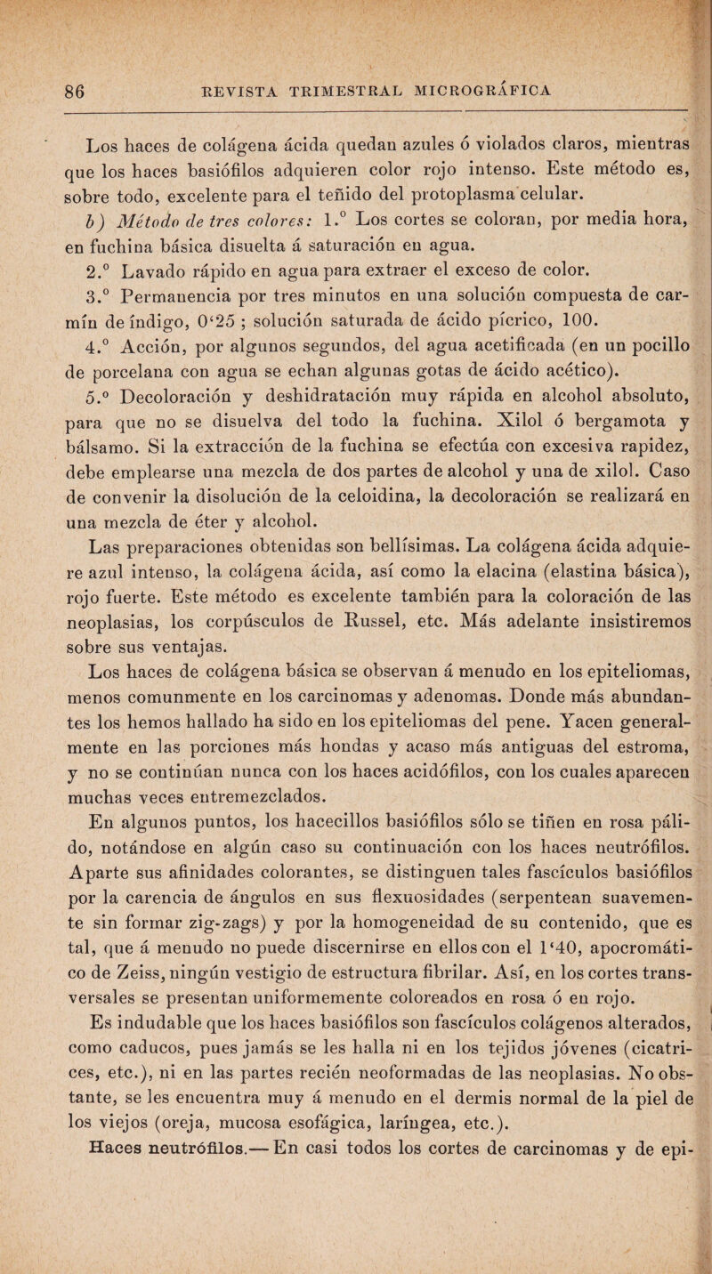 Los haces de colágena ácida quedan azules ó violados claros, mientras que los haces hasiófilos adquieren color rojo intenso. Este método es, sobre todo, excelente para el teñido del protoplasma celular. h) Método de tres colores: 1.® Los cortes se coloran, por media hora, en fuchina básica disuelta á saturación en agua. 2. ° Lavado rápido en aguapara extraer el exceso de color. 3. ° Permanencia por tres minutos en una solución compuesta de car¬ mín de índigo, 0‘25 ; solución saturada de ácido pícrico, 100. 4. ® Acción, por algunos segundos, del agua acetificada (en un pocilio de porcelana con agua se echan algunas gotas de ácido acético). 5. ® Decoloración y deshidratación muy rápida en alcohol absoluto, para que no se disuelva del todo la fuchina. Xilol ó bergamota y bálsamo. Si la extracción de la fuchina se efectúa con excesiva rapidez, debe emplearse una mezcla de dos partes de alcohol y una de xilol. Caso de convenir la disolución de la celoidina, la decoloración se realizará en una mezcla de éter y alcohol. Las preparaciones obtenidas son bellísimas. La colágena ácida adquie¬ re azul intenso, la colágena ácida, así como la elacina (elastina básica), rojo fuerte. Este método es excelente también para la coloración de las neoplasias, los corpúsculos de Russel, etc. Más adelante insistiremos sobre sus ventajas. Los haces de colágena básica se observan á menudo en los epiteliomas, menos comunmente en los carcinomas y adenomas. Donde más abundan¬ tes los hemos hallado ha sido en los epiteliomas del pene. Yacen general¬ mente en las porciones más hondas y acaso más antiguas del estroma, y no se continúan nunca con los haces acidófilos, con los cuales aparecen muchas veces entremezclados. En algunos puntos, los hacecillos hasiófilos sólo se tiñen en rosa páli¬ do, notándose en algún caso su continuación con los haces neutrófilos. Aparte sus afinidades colorantes, se distinguen tales fascículos hasiófilos por la carencia de ángulos en sus flexuosidades (serpentean suavemen¬ te sin formar zig-zags) y por la homogeneidad de su contenido, que es tal, que á menudo no puede discernirse en ellos con el 1‘40, apocromáti- co de Zeiss, ningún vestigio de estructura fibrilar. Así, en los cortes trans¬ versales se presentan uniformemente coloreados en rosa ó en rojo. ^ Es indudable que los haces hasiófilos son fascículos colágenos alterados, i como caducos, pues jamás se les halla ni en los tejidos jóvenes (cicatri¬ ces, etc.), ni en las partes recién neoformadas de las neoplasias. No obs¬ tante, se les encuentra muy á menudo en el dermis normal de la piel de los viejos (oreja, mucosa esofágica, laríngea, etc.). Haces neutrófilos.— En casi todos los cortes de carcinomas y de epi-