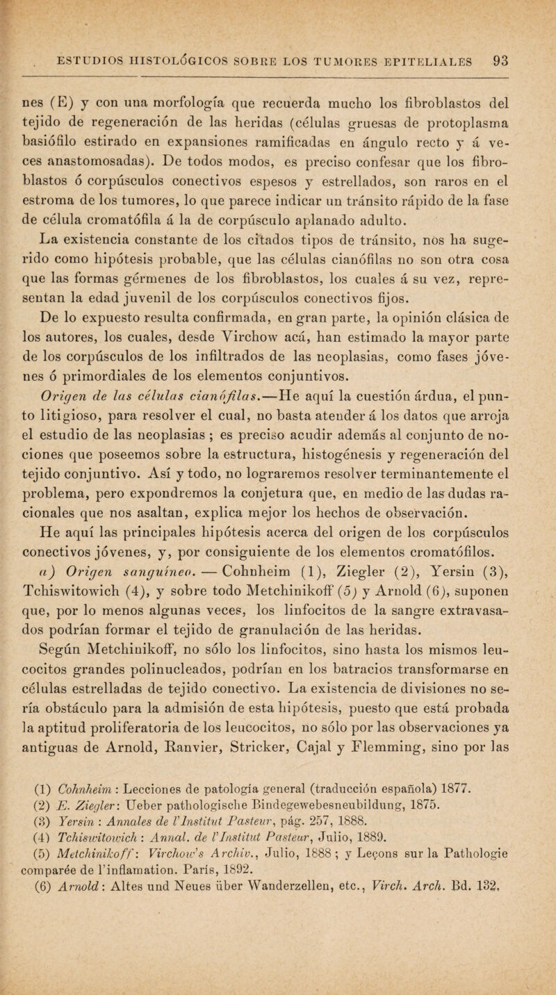 nes (E) y con una morfología que recuerda mucho los fibroblastos del tejido de regeneración de las heridas (células gruesas de protoplasma basiófilo estirado en expansiones ramificadas en ángulo recto y á ve¬ ces anastomosadas). De todos modos, es preciso confesar que los fibro¬ blastos ó corpúsculos conectivos espesos y estrellados, son raros en el estroma de los tumores, lo que parece indicar un tránsito rápido de la fase de célula cromatófila á la de corpúsculo aplanado adulto. La existencia constante de los citados tipos de tránsito, nos ha suge¬ rido como hipótesis probable, que las células cianófilas no son otra cosa que las formas gérmenes de los fibroblastos, los cuales á su vez, repre¬ sentan la edad juvenil de los corpúsculos conectivos fijos. De lo expuesto resulta confirmada, en gran parte, la opinión clásica de los autores, los cuales, desde Yirchow acá, han estimado la mayor parte de los corpúsculos de los infiltrados de las neoplasias, como fases jóve¬ nes ó primordiales de los elementos conjuntivos. Origen de las células cianojilas,—He aquí la cuestión árdua, el pun¬ to litigioso, para resolver el cual, no basta atender á los datos que arroja el estudio de las neoplasias ; es preciso acudir además al conjunto de no¬ ciones que poseemos sobre la estructura, histogénesis y regeneración del tejido conjuntivo. Así y todo, no lograremos resolver terminantemente el problema, pero expondremos la conjetura que, en medio de las dudas ra¬ cionales que nos asaltan, explica mejor los hechos de observación. He aquí las principales hipótesis acerca del origen de los corpúsculos conectivos jóvenes, y, por consiguiente de los elementos cromatófilos. a) Origen sanguíneo. — Cohnheim (1), Ziegler (2), Yersin (3), Tchiswitowich (4), y sobre todo MetchinikoíF (oj y Arnold (6), suponen que, por lo menos algunas veces, los linfocitos de la sangre extravasa¬ dos podrían formar el tejido de granulación de las heridas. Según MetchinikoíF, no sólo los linfocitos, sino hasta los mismos leu¬ cocitos grandes polinucleados, podrían en los batracios transformarse en células estrelladas de tejido conectivo. La existencia de divisiones no se¬ ría obstáculo para la admisión de esta hipótesis, puesto que está probada la aptitud proliferatoria de los leucocitos, no sólo por las observaciones ya antiguas de Arnold, Ranvier, Stricker, Cajal y Flemming, sino por las (1) Cohnheim : Lecciones de patología general (traducción española) 1877. (2) E. Ziegler: Ueber pathologisclie Bindegewebesneubildung, 1875. (3) Yersin : Annales de VInstituí Pasteur, pág. 257, 1888. (4) Tchiswitowich : Annal. de VTnstitut Pastear^ Julio, 1889. (5) Metchinikoff: Virchow's Archiv..^ Julio, 1888; y Le^ons sur la Pathologie comparée de rinflamation. París, 1892. (6) Arnold: Altes und Neues über Wanderzellen, etc., Virch. Arch. Bd. 132,