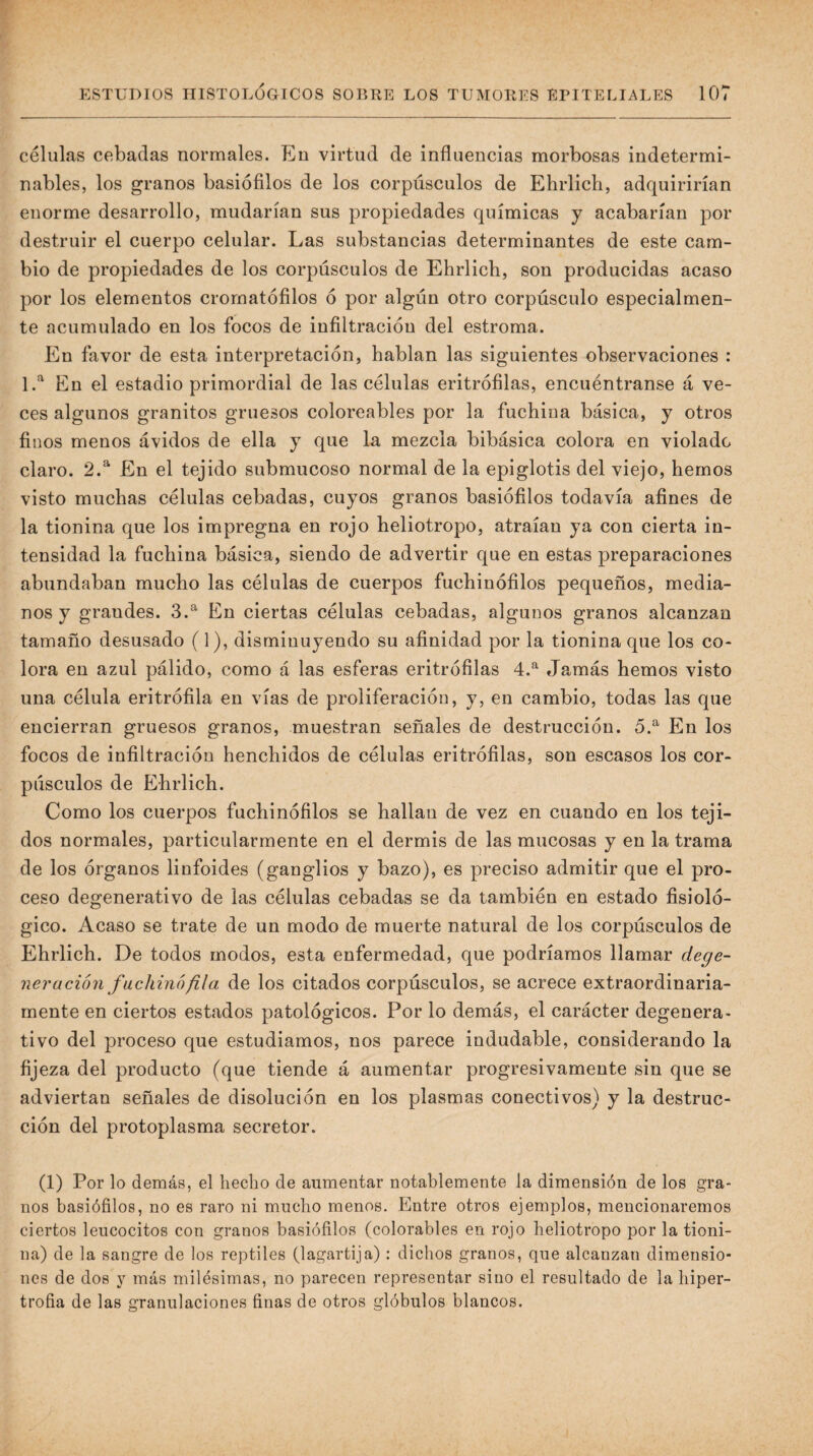 células cebadas normales. En virtud de influencias morbosas indetermi¬ nables, los granos basiófilos de los corpúsculos de Ehrlicb, adquirirían enorme desarrollo, mudarían sus propiedades químicas y acabarían por destruir el cuerpo celular. Las substancias determinantes de este cam¬ bio de propiedades de los corpúsculos de Ehrlicb, son producidas acaso por los elementos cromatóíilos ó por algún otro corpúsculo especialmen¬ te acumulado en los focos de infiltración del estroma. En favor de esta interpretación, hablan las siguientes observaciones : 1.^ En el estadio primordial de las células eritrófilas, encuéntranse á ve¬ ces algunos granitos gruesos coloreables por la fuchina básica, y otros finos menos ávidos de ella y que la mezcla bibásica colora en violado claro. 2.^ En el tejido submucoso normal de la epiglotis del viejo, hemos visto muchas células cebadas, cuyos granos basiófilos todavía afines de la tionina que los impregna en rojo heliotropo, atraían ya con cierta in¬ tensidad la fuchina básica, siendo de advertir que en estas preparaciones abundaban mucho las células de cuerpos fuchinófilos pequeños, media¬ nos y grandes. 3.^ En ciertas células cebadas, algunos granos alcanzan tamaño desusado (1), disminuyendo su afinidad por la tionina que los co¬ lora en azul pálido, como á las esferas eritrófilas 4.^ Jamás hemos visto una célula eritrófila en vías de proliferación, y, en cambio, todas las que encierran gruesos granos, muestran señales de destrucción. 5.^ En los focos de infiltración henchidos de células eritrófilas, son escasos los cor¬ púsculos de Ehrlich. Como los cuerpos fuchinófilos se hallan de vez en cuando en los teji¬ dos normales, particularmente en el dermis de las mucosas y en la trama de los órganos linfoides (ganglios y bazo), es preciso admitir que el pro¬ ceso degenerativo de las células cebadas se da también en estado fisioló¬ gico. Acaso se trate de un modo de muerte natural de los corpúsculos de Ehrlich. De todos modos, esta enfermedad, que podríamos llamar dege- nev ación fachina fila de los citados corpúsculos, se acrece extraordinaria¬ mente en ciertos estados patológicos. Por lo demás, el carácter degenera¬ tivo del proceso que estudiamos, nos parece indudable, considerando la fijeza del producto (que tiende á aumentar progresivamente sin que se adviertan señales de disolución en los plasmas conectivos) y la destruc¬ ción del protoplasma secretor. (1) Por lo demás, el hecho de aumentar notablemente la dimensión de los gra¬ nos basiófilos, no es raro ni mucho menos. Entre otros ejemplos, mencionaremos ciertos leucocitos con granos basiófilos (colorables en rojo heliotropo por la tioni¬ na) de la sangre de los reptiles (lagartija) : dichos granos, que alcanzan dimensio¬ nes de dos y más milésimas, no parecen representar sino el resultado de la hiper¬ trofia de las granulaciones finas de otros glóbulos blancos.