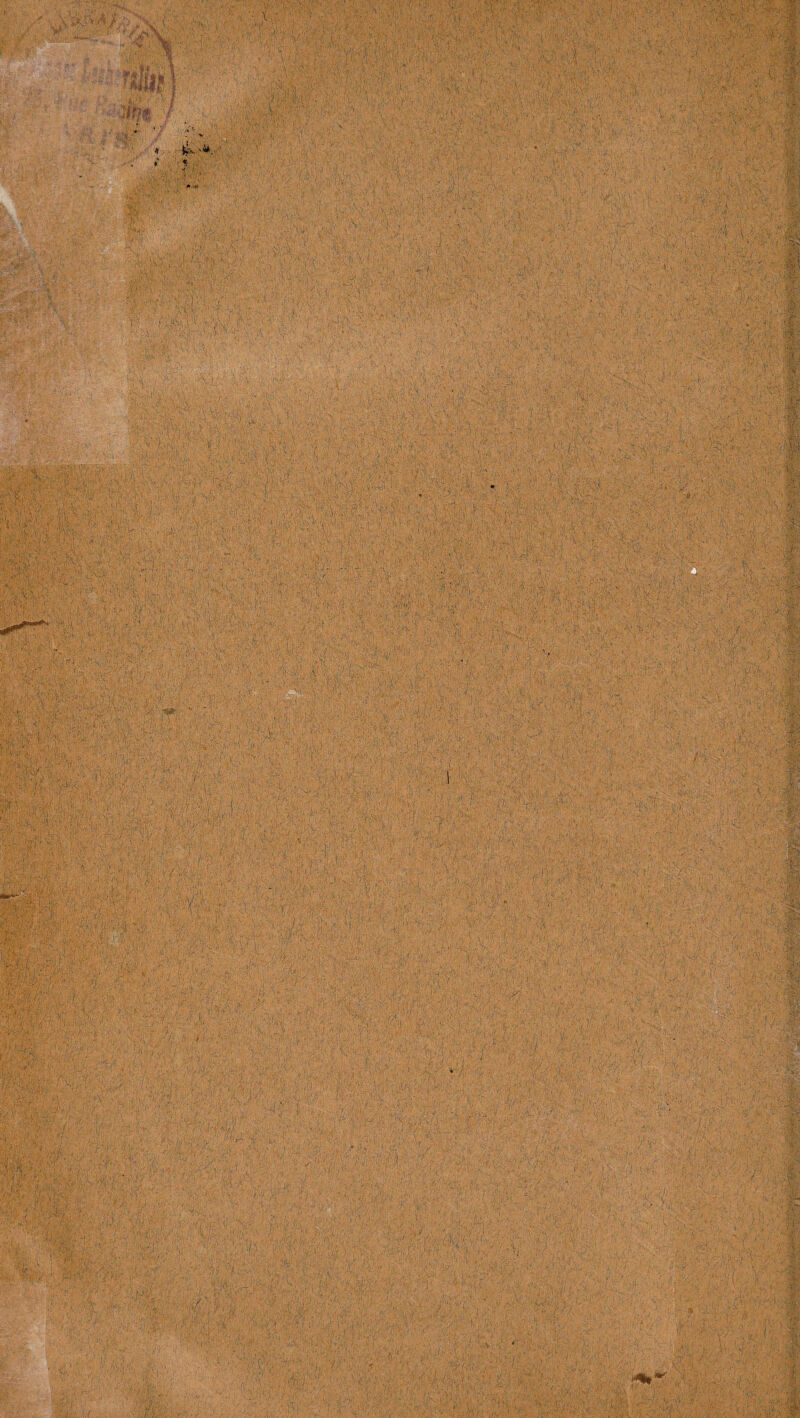 '-I 1 4M §8 Vi'.n, ■ M'.v •%