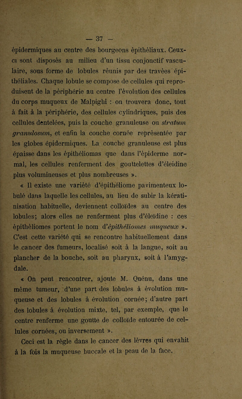 épidermiques au centre des bourgeons épithéliaux. Ceux- ci sont disposés au milieu d’un tissu conjonctif vascu¬ laire, sous forme de lobules réunis par des travées épi¬ théliales. Chaque lobule se compose de cellules qui repro¬ duisent de la périphérie au centre l’évolution des cellules du corps muqueux de Malpighi : on trouvera donc, tout à fait à la périphérie, des cellules cylindriques, puis des cellules dentelées, puis la couche granuleuse ou stratum granulosum, et enfin la couche cornée représentée par les globes épidermiques. La couche granuleuse est plus épaisse dans les épithéliomas que dans l’épiderme nor¬ mal, les cellules renferment des gouttelettes d’éleidine plus volumineuses et plus nombreuses ». « Il existe une variété d’épithéliome pavimenteux lo¬ bule dans laquelle les cellules, au lieu de subir la kérati¬ nisation habituelle, deviennent colloïdes au centre des lobules; alors elles ne renferment plus d’éleïdine : ces èpithéliomes portent le nom d’èpithéliomes muqueux ». C’est cette variété qui se rencontre habituellement dans le cancer des fumeurs, localisé soit à la langue, soit au plancher de la bouche, soit au pharynx, soit à l’amyg¬ dale. « On peut rencontrer, ajoute M. Quénu, dans une même tumeur, d’une part des lobules à évolution mu¬ queuse et des lobules à évolution cornée; d’autre part des lobules à évolution mixte, tel, par exemple, que le centre renferme une goutte de colloïde entourée de cel¬ lules cornées, ou inversement ». Ceci est la règle dans le cancer des lèvres qui envahit â la fois la muqueuse buccale et la peau de la face,