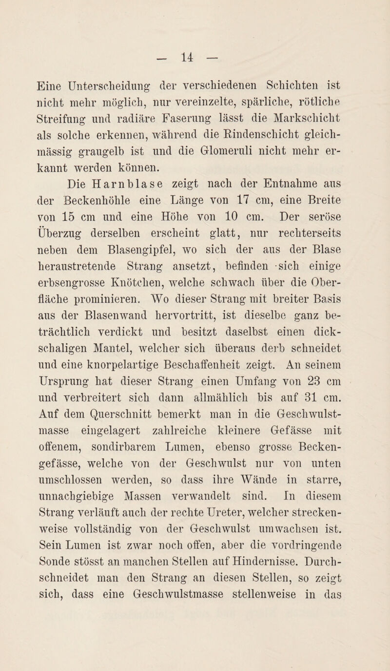 Eine Unterscheidung“ der verschiedenen Schichten ist nicht mehr möglich, nur vereinzelte, spärliche, rötliche Streifung und radiäre Faserung lässt die Markschicht als solche erkennen, während die Rindenschicht gleich- mässig graugelb ist und die Glomeruli nicht mehr er¬ kannt werden können. Die Harnblase zeigt nach der Entnahme aus der Beckenhöhle eine Länge von 17 cm, eine Breite von 15 cm und eine Höhe von 10 cm. Der seröse • • Überzug derselben erscheint glatt, nur rechterseits neben dem Blasengipfel, wo sich der aus der Blase heraustretende Strang ansetzt, befinden sich einige erbsengrosse Knötchen, welche schwach über die Ober¬ fläche prominieren. Wo dieser Strang mit breiter Basis aus der Blasenwand hervortritt, ist dieselbe ganz be¬ trächtlich verdickt und besitzt daselbst einen dick¬ schaligen Mantel, welcher sich überaus derb sehneidet und eine knorpelartige Beschaffenheit zeigt. An seinem Ursprung hat dieser Strang einen Umfang von 23 cm und verbreitert sich dann allmählich bis auf 31 cm. Auf dem Querschnitt bemerkt man in die Geschwulst¬ masse eingelagert zahlreiche kleinere Gefässe mit offenem, sondirbarem Lumen, ebenso grosse Becken- gefässe, welche von der Geschwulst nur von unten umschlossen werden, so dass ihre Wände in starre, unnachgiebige Massen verwandelt sind, ln diesem Strang verläuft auch der rechte Ureter, welcher strecken¬ weise vollständig von der Geschwulst umwachsen ist. Sein Lumen ist zwar noch offen, aber die vordringende Sonde stösst an manchen Stellen auf Hindernisse. Durch¬ schneidet man den Strang an diesen Stellen, so zeigt sich, dass eine Geschwulstmasse stellenweise in das