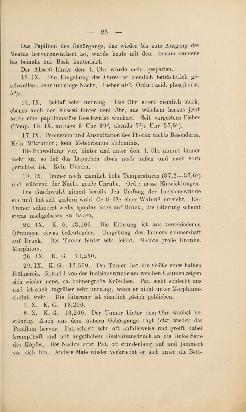 Das Papillom des Gehörgangs, das wieder bis zum Ausgang des Meatus hervorgewuchert ist, wurde heute mit dem ferrum candens bis beinahe zur Basis kauterisirt. Der Absceß hinter dem 1. Ohr wurde mehr gespalten. 13. IX. Die Umgebung des Ohres ist ziemlich beträchtlich ge¬ schwollen; sehr unruhige Nacht. Fieber 40°. Ordin: acid. phosphoric. 5%. 14. IX. Schlaf sehr unruhig. Das Ohr eitert ziemlich stark, ebenso auch der Absceß hinter dem Ohr, aus welchem heraus jetzt auch eine papillomatöse Geschwulst wuchert. Seit vorgestern Fieber (Temp. 13. IX. mittags 3 Uhr 39°, abends 7x/2 Uhr 37,8°). 17. IX. Percussion und Auscultation des Thorax nichts Besonderes. Kein Milztumor; kein Meteorismus abdominis. Die Schwellung vor, hinter und unter dem 1. Ohr nimmt immer mehr zu, so daß das Läppchen stark nach außen und nach vorn gerichtet ist. Kein Husten. 18. IX. Immer noch ziemlich hohe Temperaturen (3 7,2—3 7,6°) und während der Nacht große Unruhe. Ord.: nasse Einwicklungen. Die Geschwulst nimmt bereits den Umfang der Incisionswunde ein und hat seit gestern wohl die Größe einer Walnuß erreicht. Der Tumor schmerzt weder spontan noch auf Druck; die Eiterung scheint etwas nachgelassen zu haben. 22. IX. K. G. 13,100. Die Eiterung ist aus verschiedenen Qftnungen etwas bedeutender. Umgebung des Tumors schmerzhaft auf Druck. Der Tumor blutet sehr leicht. Nachts große Unruhe. Morphium. 26. IX. K. G. 13,250. 29. IX. K.G. 13,300. Der Tumor hat die Größe eines halben Hühnereis. R.und 1. von der Incisionswunde am weichen Gaumen zeigen sich wieder neue, ca. bohnengroße Knötchen. Pat. sieht schlecht aus und ist auch tagsüber sehr unruhig, wenn er nicht unter Morphium¬ einfluß steht. Die Eiterung ist ziemlich gleich geblieben. 3. X. K. G. 13,200. 6. X. K. G. 13,200. Der Tumor hinter dem Ohr wächst be¬ ständig. Auch aus dem äußern Gehörgange ragt jetzt wieder das Papillom hervor. Pat. schreit sehr oft anfallsweise und greift dabei krampfhaft und mit ängstlichem Gesichtsausdruck an die linke Seite des Kopfes. Des Nachts sitzt Pat. oft stundenlang auf und jammert vor sich hin. Andere Male wieder verkriecht er sich unter die Bett-