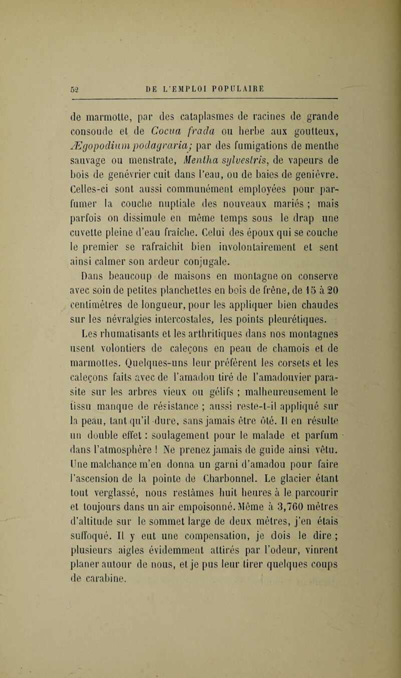 de marmotte, par des cataplasmes de racines de grande consoude et de Cocua frada ou herbe aux gonttenx, Mgopodiumpodagraria; par des fumigations de menthe sauvage ou menstrate, Mentha sylvestris, de vapeurs de bois de genevrier cuit dans l’eau, ou de baies de genievre. Celies-ci sont aussi communement employees pour par- fumer la couche nuptiale des nouveaux maries ; mais parfois on dissimule en meme temps sous le drap une cuvette pleine d’eau fraiche. Celui des epoux qui se couche le premier se rafraichit bien involontairement et sent ainsi calmer son ardeur conjugate. Dans beau coup de maisons en montagne on conserve avec soin de petites planchettes en bois de Irene, de 15 a 20 centimetres de longueur, pour les appliquer bien chaudes sur les nevralgies intercostales, les points pleuretiques. Les rhumatisants et les arthritiques dans nos montagnes usent volontiers de calecons en peau de chamois et de marmottes. Quelques-uns leur preferent les corsets et les calegons faits avec de 1’amadou tire de l’amadouvier para¬ site sur les arbres vieux ou gelifs ; malheureusement le tissu manque de resistance ; aussi reste-t-il applique sur la peau, taut qu’il dure, sans jamais etre ote. II en resulte ■un double effet: soulagement pour le malade et parfum dans l’atmosphere ! Ne prenez jamais de guide ainsi vetu. Une malchance m’en donna un garni d’amadou pour faire 1’ascension de la pointe de Charbonnel. Le glacier etant tout verglasse, nous reslames huit heures a le parcourir et toujours dans un air empoisonne. Meme a 3,760 metres d’altitude sur le sommet large de deux metres, j’en etais suffoque. II y eut une compensation, je dois le dire ; plusieurs aigles evidemment attires par Lodeur, vinrent planer autour de nous, et je pus leur tirer quelques coups de carabine.