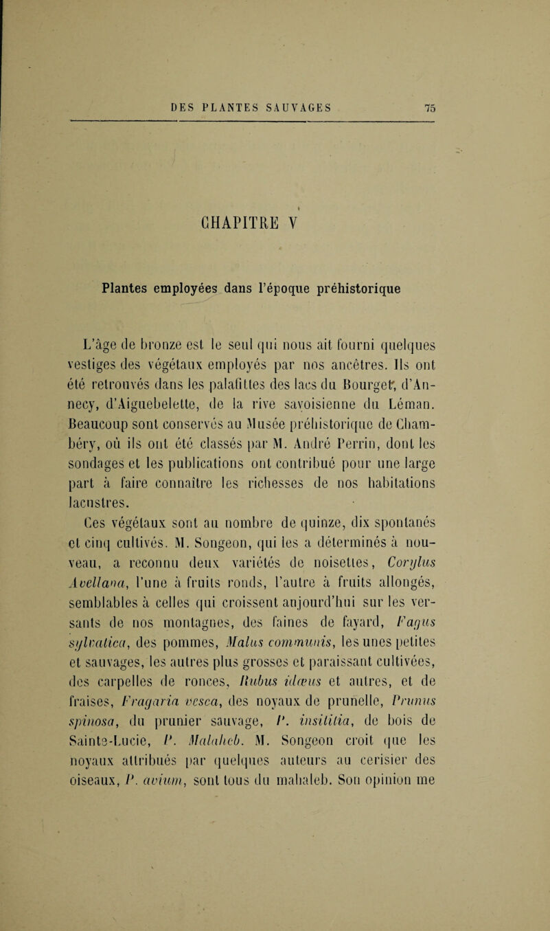 CHAPITRE V Plantes employees dans l’epoque prehistorique L’age de bronze est le seal qui nous ait fourni quelques vestiges des vegetaux employes par nos ancetres. Ils ont ete retrouves dans les palafities des lacs du Bourgetr, d’An¬ necy, d’Aiguebelette, de la rive savoisienne du Leman. Beaucoup sont conserves au Musee prehistorique de Cham- bery, ou ils ont ete classes par M. Andre Perrin, dont les sondages et les publications ont contribue pour une large part a faire connaitre les richesses de nos habitations lacustres. Ces vegetaux sont au nombre de quinze, dix sponlanes ct cinq cultives. M. Songeon, qui les a determines a nou¬ veau, a reconnu deux varietes de noisettes, Corylus A veil an a, Pune a fruits ronds, l’autre a fruits allonges, semblables a cedes qui croissent anjourd’hui stir les ver- sants de nos montagnes, des faines de fayard, Fagus sijhmlica, des pommes, Mai us communis, les unes petites et sauvages, les autres plus grosses et paraissant cultivees, des carpel les de ronces, Jlubus iclceus et autres, et de Raises, Frag aria vesca, des noyaux de prunelle, Primus spinosa, du prunier sauvage, P. insililia, de hois de Sainte-Lucie, P. Malakeb. M. Songeon croit que les noyaux atlribues par quelques auteurs au cerisier des oiseaux, P. avium, sont tous du mahaleb. Son opinion me