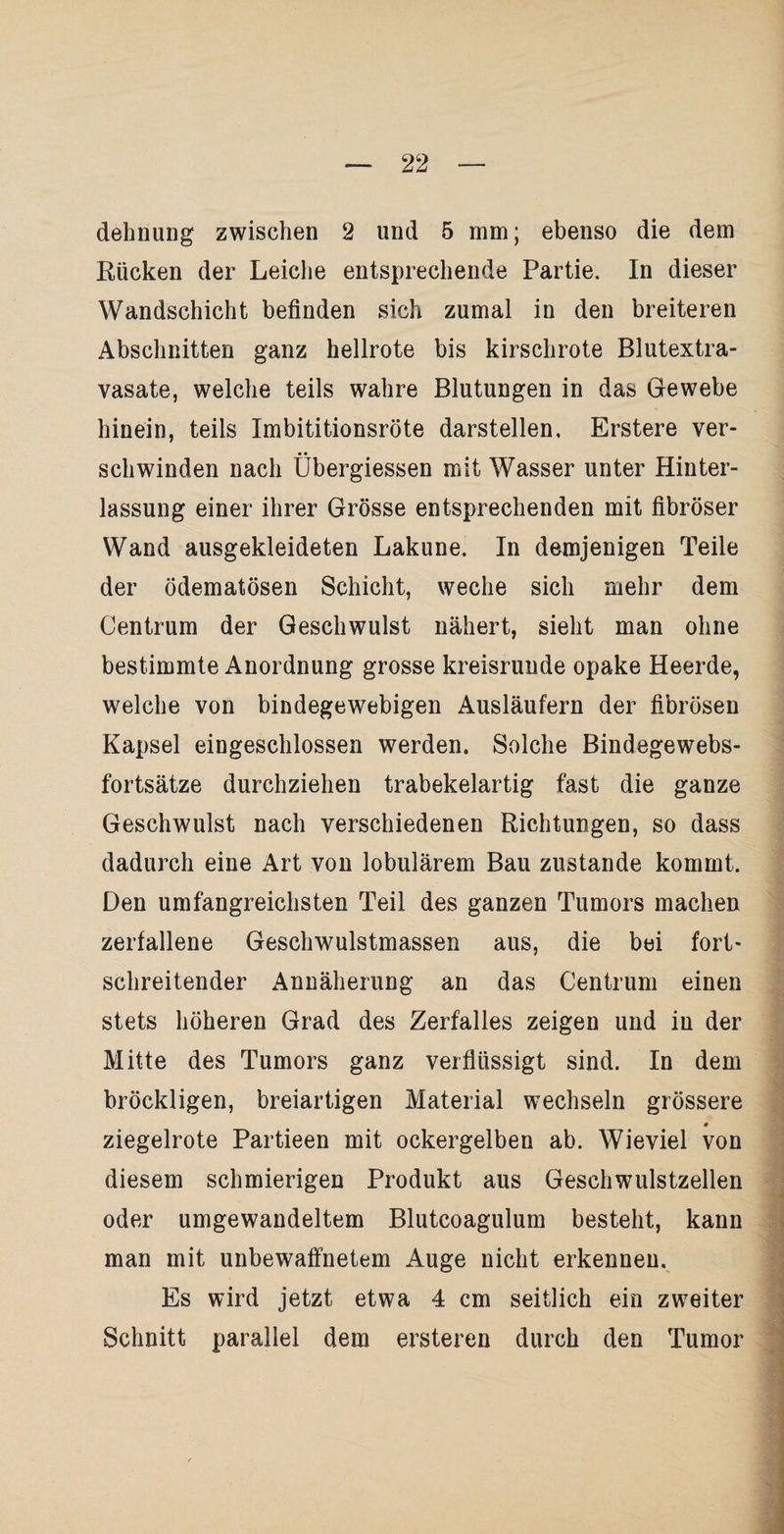 dehnung zwischen 2 und 5 mm; ebenso die dem Rücken der Leiche entsprechende Partie. In dieser Wandschicht befinden sich zumal in den breiteren Abschnitten ganz hellrote bis kirschrote Blutextra¬ vasate, welche teils wahre Blutungen in das Gewebe hinein, teils Imbititionsröte darstellen. Erstere ver¬ schwinden nach Übergiessen mit Wasser unter Hinter¬ lassung einer ihrer Grösse entsprechenden mit fibröser Wand ausgekleideten Lakune. In demjenigen Teile der ödematösen Schicht, weche sich mehr dem Centrum der Geschwulst nähert, sieht man ohne bestimmte Anordnung grosse kreisrunde opake Heerde, welche von bindegewebigen Ausläufern der fibrösen Kapsel eingeschlossen werden. Solche Bindegewebs- fortsätze durchziehen trabekelartig fast die ganze Geschwulst nach verschiedenen Richtungen, so dass dadurch eine Art von lobulärem Bau zustande kommt. Den umfangreichsten Teil des ganzen Tumors machen zerfallene Geschwulstmassen aus, die bei fort¬ schreitender Annäherung an das Centrum einen stets höheren Grad des Zerfalles zeigen und in der Mitte des Tumors ganz verflüssigt sind. In dem bröckligen, breiartigen Material wechseln grössere ziegelrote Partieen mit ockergelben ab. Wieviel von diesem schmierigen Produkt aus Geschwulstzellen oder umgewandeltem Blutcoagulum besteht, kann man mit unbewaffnetem Auge nicht erkennen. Es wird jetzt etwa 4 cm seitlich ein zweiter Schnitt parallel dem ersteren durch den Tumor