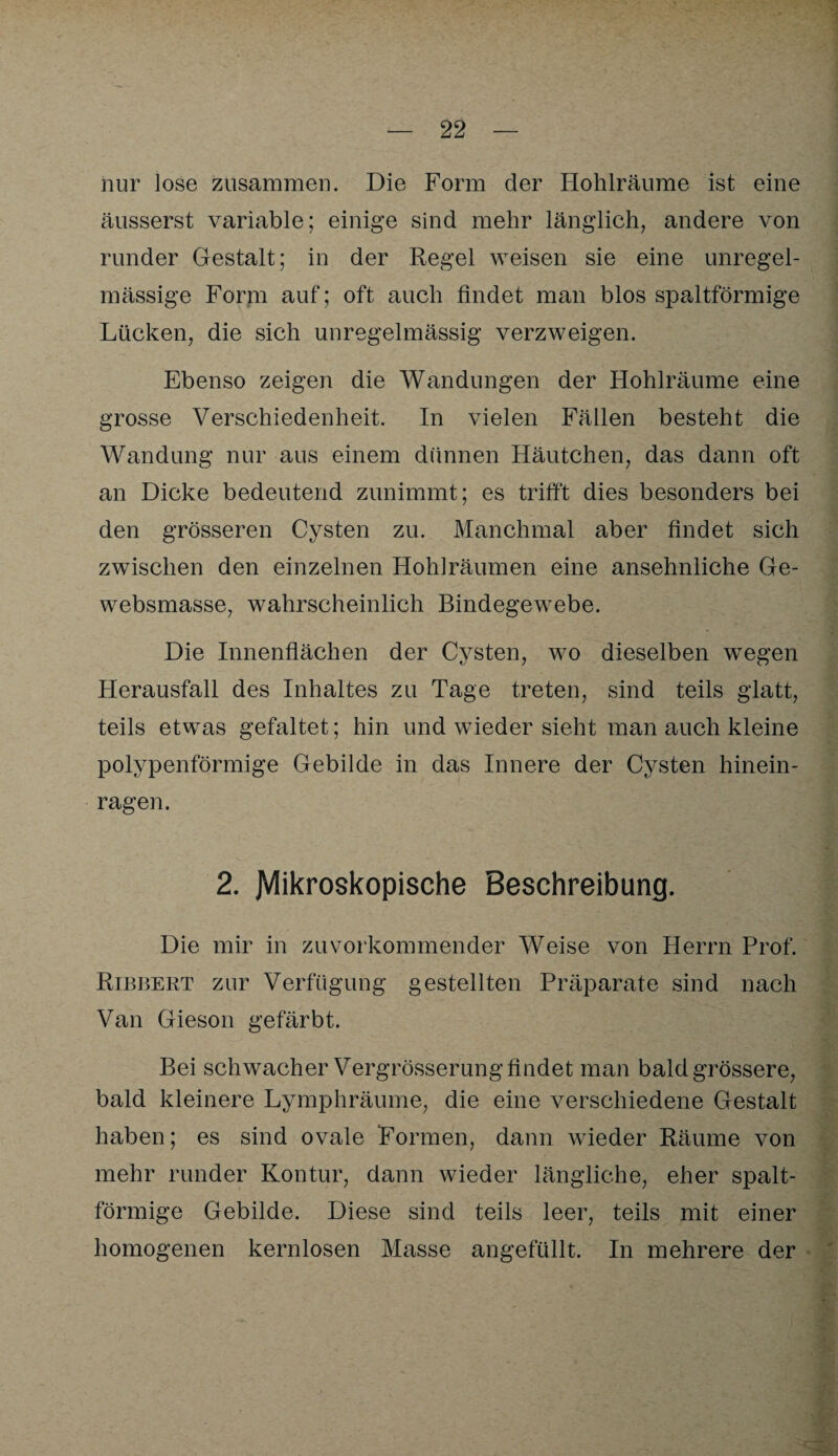 nur lose zusammen. Die Form der Hohlräume ist eine äusserst variable; einige sind mehr länglich, andere von runder Gestalt; in der Regel weisen sie eine unregel¬ mässige Form auf; oft auch findet man blos spaltförmige Lücken, die sich unregelmässig verzweigen. Ebenso zeigen die Wandungen der Hohlräume eine grosse Verschiedenheit. In vielen Fällen besteht die Wandung nur aus einem dünnen Häutchen, das dann oft an Dicke bedeutend zunimmt; es trifft dies besonders bei den grösseren Cysten zu. Manchmal aber findet sich zwischen den einzelnen Hohlräumen eine ansehnliche Ge- websmasse, wahrscheinlich Bindegewebe. Die Innenflächen der Cysten, wo dieselben wegen Herausfall des Inhaltes zu Tage treten, sind teils glatt, teils etwas gefaltet; hin und wieder sieht man auch kleine polypenförmige Gebilde in das Innere der Cysten hinein¬ ragen. 2. Mikroskopische Beschreibung. Die mir in zuvorkommender Weise von Herrn Prof. Ribbert zur Verfügung gestellten Präparate sind nach Van Gieson gefärbt. Bei schwacher Vergrösserung findet man bald grössere, bald kleinere Lymphräume, die eine verschiedene Gestalt haben; es sind ovale Formen, dann wieder Räume von mehr runder Kontur, dann wieder längliche, eher spalt¬ förmige Gebilde. Diese sind teils leer, teils mit einer homogenen kernlosen Masse angefüllt. In mehrere der