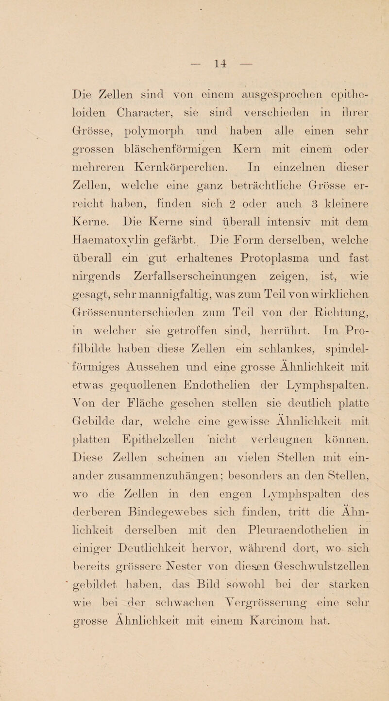 Die Zellen sind von einem ausgesprochen epithe- loiden Character, sie sind verschieden in ihrer Grösse, polymorph und haben alle einen sehr grossen bläschenförmigen Kern mit einem oder mehreren Kernkörperchen. In einzelnen dieser Zellen, welche eine ganz beträchtliche Grösse er¬ reicht haben, finden sich 2 oder auch 3 kleinere Kerne. Die Kerne sind überall intensiv mit dem Haemafoxylin gefärbt. Die Dorm derselben, welche überall ein gut erhaltenes Protoplasma und fast nirgends Zerfallserscheinungen zeigen, ist, wie gesagt, sehr mannigfaltig, was zum Teil von wirklichen Grössenunterschieden zum Teil von der Dichtung, in welcher sie getroffen sind, herrülirt. Im Pro¬ filbilde haben diese Zellen ein schlankes, spindel¬ förmiges Aussehen und eine grosse Ähnlichkeit mit etwas gequollenen Endothelien der Lymphspalten. Ton der Fläche gesehen stellen sie deutlich platte Gebilde dar, welche eine gewisse Ähnlichkeit mit platten Epithelzellen nicht verleugnen können. Diese Zellen scheinen an vielen Stellen mit ein¬ ander zusammenzuhängen; besonders an den Stellen, wo die Zellen in den engen Lymphspalten des derberen Bindegewebes sich finden, tritt die Ähn¬ lichkeit derselben mit den Pleuraendothelien in einiger Deutlichkeit hervor, während dort, wo sich bereits grössere Nester von diesnn Geschwulstzellen ' gebildet haben, das Bild sowohl bei der starken wie bei der schwachen Yergrösserung eine sehr grosse Ähnlichkeit mit einem Karcinom hat.