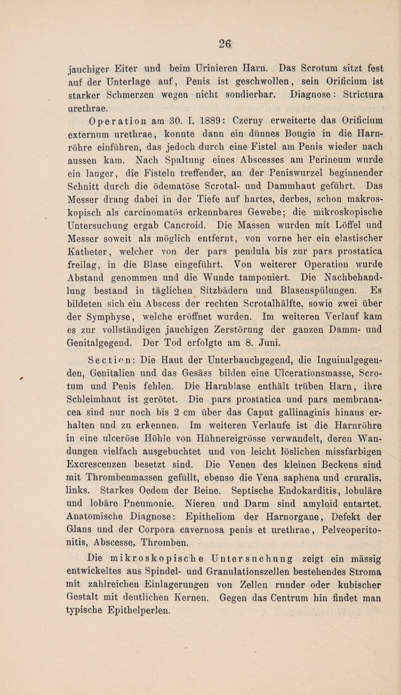 jauchiger Eiter und beim Urinieren Harn. Das Scrotum sitzt fest auf der Unterlage auf, Penis ist geschwollen, sein Orificium ist starker Schmerzen wegen nicht sondierbar. Diagnose: Strictura urethrae. Operation am 30. I. 1889: Czerny erweiterte das Orificium externum urethrae, konnte dann ein dünnes Bougie in die Harn¬ röhre einführen, das jedoch durch eine Fistel am Penis wieder nach aussen kam. Nach Spaltung eines Abscesses am Perineum wurde ein langer, die Fisteln treffender, an der Peniswurzel beginnender Schnitt durch die ödematöse Scrotal- und Dammhaut geführt. Das Messer drang dabei in der Tiefe auf hartes, derbes, schon makros¬ kopisch als carcinomatös erkennbares Gewebe; die mikroskopische Untersuchung ergab Cancroid. Die Massen wurden mit Löffel und Messer soweit als möglich entfernt, von vorne her ein elastischer Katheter, welcher von der pars pendula bis zur pars prostatica freilag, in die Blase eingeführt. Von weiterer Operation wurde Abstand genommen und die Wunde tamponiert. Die Nachbehand¬ lung bestand in täglichen Sitzbädern und Blasenspülungen. Es bildeten sich ein Abscess der rechten Scrotalhälfte, sowie zwei über der Symphyse, welche eröffnet wurden. Im weiteren Verlauf kam es zur vollständigen jauchigen Zerstörung der ganzen Damm- und Genitalgegend. Der Tod erfolgte am 8. Juni. Section: Die Haut der Unterbauchgegend, die Inguinalgegen¬ den, Genitalien und das Gesäss bilden eine Ulcerationsmasse, Scro¬ tum und Penis fehlen. Die Harnblase enthält trüben Harn, ihre Schleimhaut ist gerötet. Die pars prostatica und pars membrana- cea sind nur noch bis 2 cm über das Caput gallinaginis hinaus er¬ halten und zu erkennen. Im weiteren Verlaufe ist die Harnröhre in eine ulceröse Höhle von Hühnereigrösse verwandelt, deren Wan¬ dungen vielfach ausgebuchtet und von leicht löslichen missfarbigen Excrescenzen besetzt sind. Die Venen des kleinen Beckens sind mit Thrombenmassen gefüllt, ebenso die Vena saphena und cruralis. links. Starkes Oedem der Beine. Septische Endokarditis, lobuläre und lobäre Pneumonie. Nieren und Darm sind amylojd entartet. Anatomische Diagnose: Epitheliom der Harnorgane, Defekt der Glans und der Corpora cavernosa penis et urethrae, Pelveoperito- nitis, Abscesse, Thromben. Die mikroskopische Untersuchung zeigt ein mässig entwickeltes aus Spindel- und Granulationszellen bestehendes Stroma mit zahlreichen Einlagerungen von Zellen runder oder kubischer Gestalt mit deutlichen Kernen. Gegen das Centrum hin findet man typische Epithelperlen.