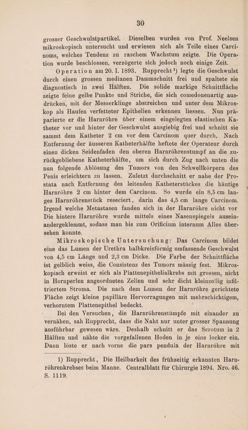 grosser Geschwulstpartikel. Dieselben wurden von Prof. Neelsen mikroskopisch untersucht und erwiesen sich als Teile eines Carci- noms, welches Tendenz zu raschem Wachstum zeigte. Die Opera¬ tion wurde beschlossen, verzögerte sich jedoch noch einige Zeit. Operation am 20. 1.1893. Rupprechtlegte die Geschwulst durch einen grossen medianen Dammschnitt frei und spaltete sie diagnostisch in zwei Hälften. Die solide markige Schnittfläche zeigte feine gelbe Punkte und Striche, die sich comedonenartig aus- drücken, mit der Messerklinge abstreichen und unter dem Mikros¬ kop als Haufen verfetteter Epithelien erkennen Hessen. Nun prä¬ parierte er die Harnröhre über einem eingelegten elastischen Ka¬ theter vor und hinter der Geschwulst ausgiebig frei und schnitt sie sammt dem Katheter 2 cm vor dem Carcinom quer durch. Nach Entfernung der äusseren Katheterhälfte heftete der Operateur durch einen dicken Seidenfaden den oberen Harnröhrenstumpf an die zu¬ rückgebliebene Katheterhälfte, um sich durch Zug nach unten die nun folgende Ablösung des Tumors von den Schwellkörpern des Penis erleichtern zu lassen. Zuletzt durchschnitt er nahe der Pro¬ stata nach Entfernung des leitenden Katheterstückes die häutige Harnröhre 2 cm hinter dem Carcinom. So wurde ein 8,5 cm lan¬ ges Harnröhrenstück reseciert, darin das 4,5 cm lange Carcinom. Irgend welche Metastasen fanden sich in der Harnröhre nicht vor Die hintere Harnröhre wurde mittels eines Nasenspiegels ausein¬ andergeklemmt, sodass man bis zum Orificium internum Alles über¬ sehen konnte. Mikro sk opis ch e Unt ersu chung: Das Carcinom bildet eine das Lumen der Urethra halbkreisförmig umfassende Geschwulst von 4,5 cm Länge und 2,3 cm Dicke. Die Farbe der Schnittfläche ist gelblich weiss, die Consistenz des Tumors mässig fest. Mikros¬ kopisch erweist er sich als Plattenepithelialkrebs mit grossen, nicht in Hornperlen angeordneten Zellen und sehr dicht kleinzellig infil¬ triertem Stroma. Die nach dem Lumen der Harnröhre gerichtete Fläche zeigt kleine papilläre Hervorragungen mit mehrschichtigem, verhorntem Plattenepithel bedeckt. Bei den Yersuchen, die Harnröhrenstümpfe mit einander zu vernähen, sah Rupprecht, dass die Naht nur unter grosser Spannung ausführbar gewesen wäre. Deshalb schnitt er das Scrotum in 2 Hälften und nähte die vorgefallenen Hoden in je eine locker ein. Dann löste er nach vorne die pars pendula der Harnröhre mit 1) Rupprecht, Die Heilbarkeit des frühzeitig erkannten Harn¬ röhrenkrebses beim Manne. Centralblatt für Chirurgie 1894. Nro. 46. S. 1119. )