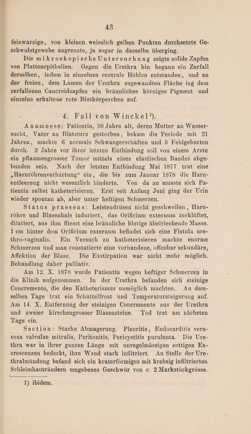 feinwarzige, von kleinen weisslich gelben Punkten durchsetzte Ge¬ schwulstgewebe angrenzte, ja sogar in dasselbe überging. Die mikroskopischeUntersuchung zeigte solide Zapfen von Plattenepithelien. Gegen die Urethra hin begann ein Zerfall derselben, indem in einzelnen centrale Höhlen entstanden, und an der freien, dem Lumen der Urethra zugewandten Fläche lag dem zerfallenen Cancroidzapfen ein bräunliches körniges Pigment und einzelne erhaltene rote Blutkörperchen auf. 4. Fall von Winckel1). Anamnese: Patientin, 36 Jahre alt, deren Mutter an Wasser¬ sucht, Vater an Blutsturz gestorben, bekam die Periode mit 21 Jahren, machte 6 normale Schwangerschaften und 3 Fehlgeburten durch. 2 Jahre vor ihrer letzten Entbindung soll von einem Arzte ein pflaumengrosser Tumor mittels eines elastischen Bandes abge¬ bunden sein. Nach der letzten Entbindung Mai 1877 trat eine „Harnröhrenverhärtung“ ein, die bis zum Januar 1878 die Harn¬ entleerung nicht wesentlich hinderte. Von da an musste sich Pa¬ tientin selbst katheterisieren. Erst seit Anfang Juni ging der Urin wieder spontan ab, aber unter heftigen Schmerzen. Status praesens: Leistendrüsen nicht geschwollen, Harn¬ röhre und Blasenhals induriert, das Orificium externum zerklüftet, dilatiert, aus ihm fliesst eine bräunliche blutige übelriechende Masse. 1 cm hinter dem Orificium externum befindet sich eine Fistula ure- thro-vaginalis. Ein Versuch zu katheterisieren machte enorme Schmerzen und man constatierte eine vorhandene, offenbar sekundäre, Affektion der Blase. Die Exstirpation war nicht mehr möglich. Behandlung daher palliativ. Am 12. X. 1878 wurde Patientin wegen heftiger Schmerzen in die Klinik aufgenommen. In der Urethra befanden sich steinige Concremente, die den Katheterismus unmöglich machten. An dem¬ selben Tage trat ein Schüttelfrost und Temperatursteigerung auf. Am 14. X. Entfernung der steinigen Concremente aus der Urethra und zweier kirschengrosser Blasensteine. Tod trat am nächsten Tage ein. Section: Starke Abmagerung. Pleuritis, Endocarditis veru- cosa valvulae mitralis, Peritonitis, Pericystitis puruienta. Die Ure¬ thra war in ihrer ganzen Länge mit unregelmässigen zottigen Ex- Crescenzen bedeckt, ihre Wand stark infiltriert. An Stelle der Ure¬ thralmündung befand sich ein kraterförmiges mit krebsig infiltrierten Schleimhauträndern umgebenes Geschwür von c. 2 Markstückgrösse. 1) ibidem.