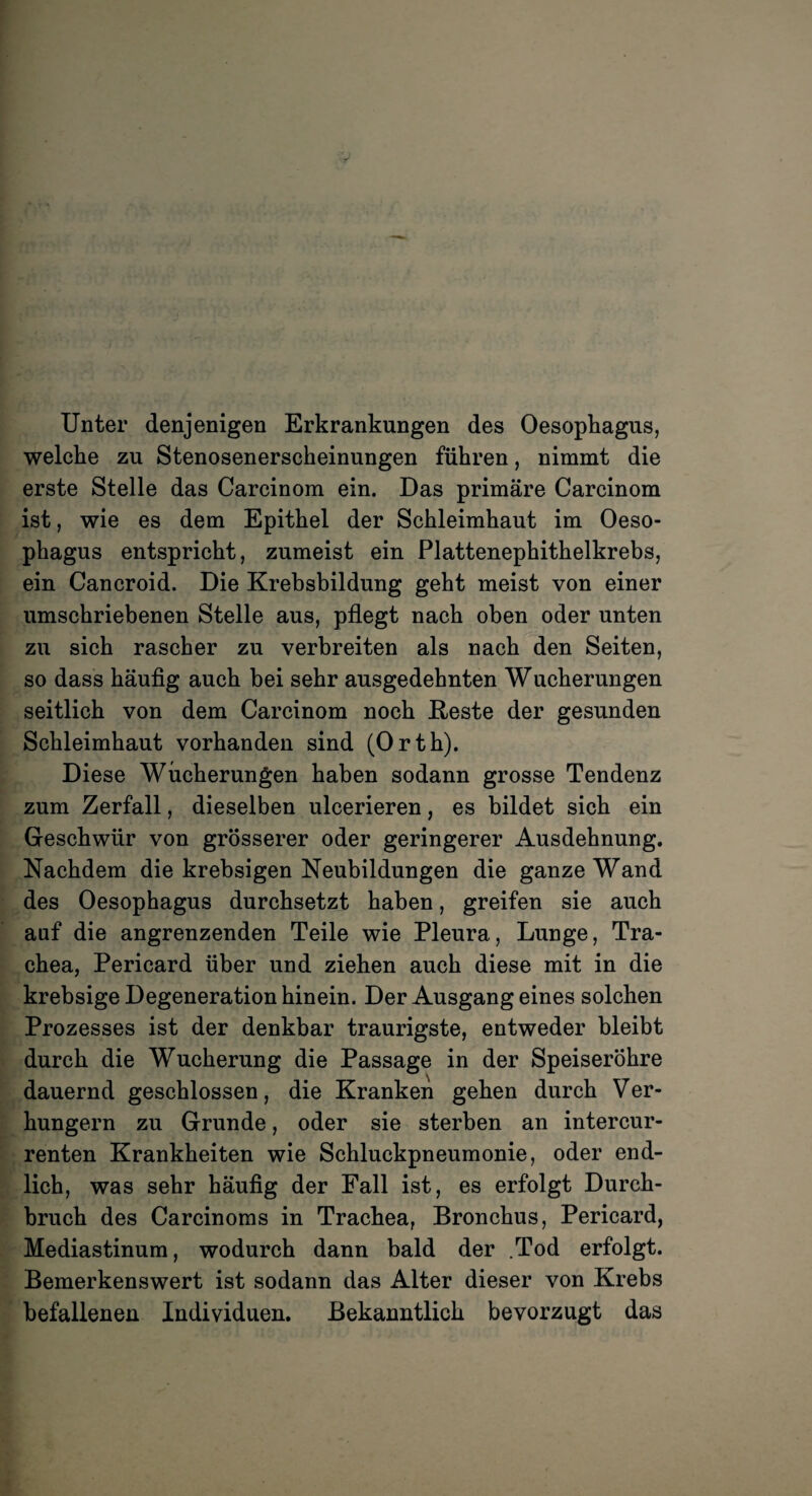 Unter denjenigen Erkrankungen des Oesophagus, welche zu Stenosenerscheinungen führen, nimmt die erste Stelle das Carcinom ein. Das primäre Carcinom ist, wie es dem Epithel der Schleimhaut im Oeso¬ phagus entspricht, zumeist ein Plattenephithelkrebs, ein Cancroid. Die Krebsbildung geht meist von einer umschriebenen Stelle aus, pflegt nach oben oder unten zu sich rascher zu verbreiten als nach den Seiten, so dass häufig auch bei sehr ausgedehnten Wucherungen seitlich von dem Carcinom noch Reste der gesunden Schleimhaut vorhanden sind (Orth). Diese Wucherungen haben sodann grosse Tendenz zum Zerfall, dieselben ulcerieren, es bildet sich ein Geschwür von grösserer oder geringerer Ausdehnung. Nachdem die krebsigen Neubildungen die ganze Wand des Oesophagus durchsetzt haben, greifen sie auch auf die angrenzenden Teile wie Pleura, Lunge, Tra¬ chea, Pericard über und ziehen auch diese mit in die krebsige Degeneration hinein. Der Ausgang eines solchen Prozesses ist der denkbar traurigste, entweder bleibt durch die Wucherung die Passage in der Speiseröhre dauernd geschlossen, die Kranken gehen durch Ver¬ hungern zu Grunde, oder sie sterben an intercur¬ renten Krankheiten wie Schluckpneumonie, oder end¬ lich, was sehr häufig der Fall ist, es erfolgt Durch¬ bruch des Carcinoms in Trachea, Bronchus, Pericard, Mediastinum, wodurch dann bald der .Tod erfolgt. Bemerkenswert ist sodann das Alter dieser von Krebs befallenen Individuen. Bekanntlich bevorzugt das