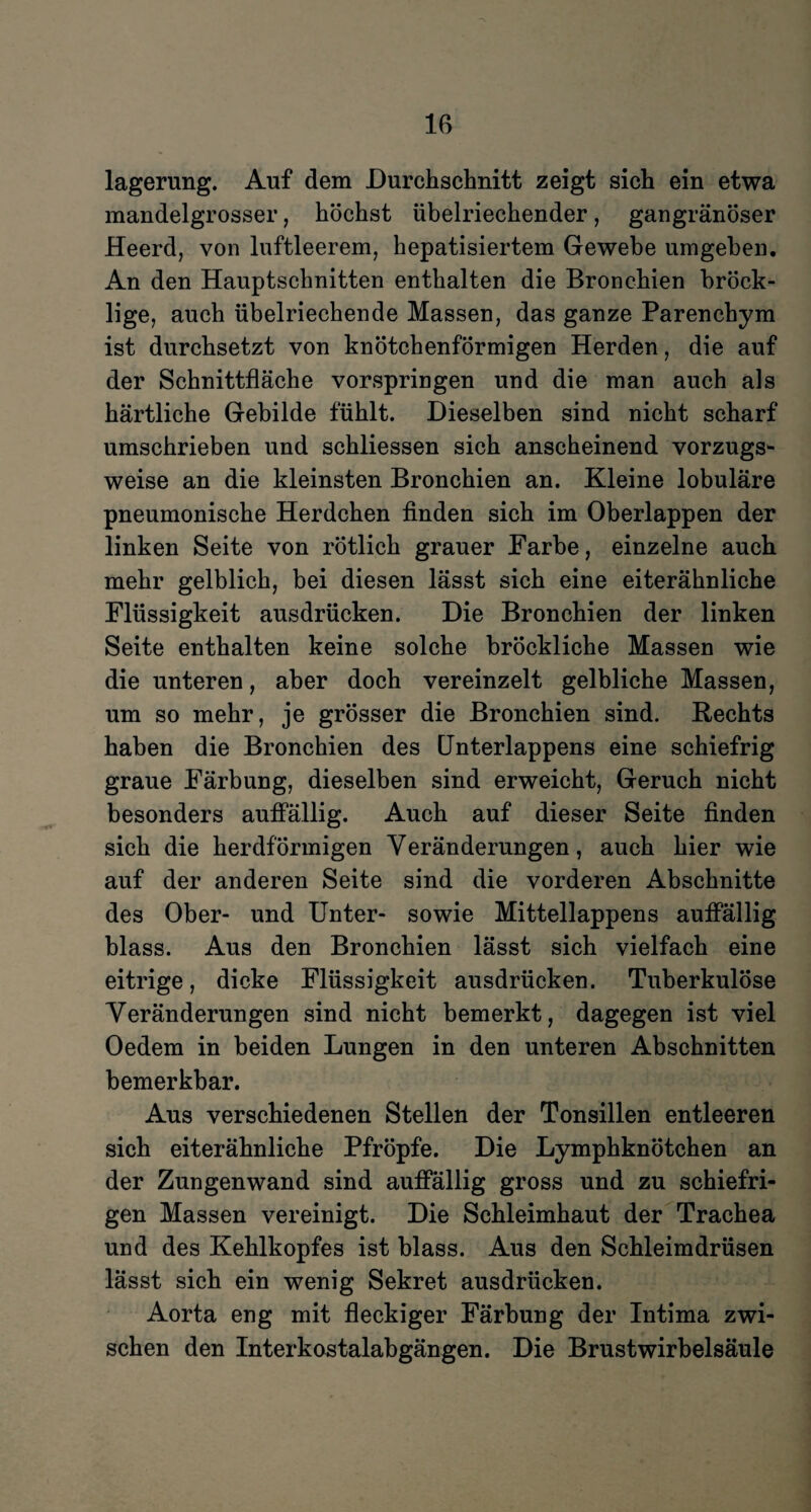 lagerung. Auf dem Durchschnitt zeigt sich ein etwa mandelgrosser, höchst übelriechender, gangränöser Heerd, von luftleerem, hepatisiertem Gewebe umgeben. An den Hauptschnitten enthalten die Bronchien bröck¬ lige, auch übelriechende Massen, das ganze Parenchym ist durchsetzt von knötchenförmigen Herden, die auf der Schnittfläche vorspringen und die man auch als härtliche Gebilde fühlt. Dieselben sind nicht scharf umschrieben und schliessen sich anscheinend vorzugs¬ weise an die kleinsten Bronchien an. Kleine lobuläre pneumonische Herdchen finden sich im Oberlappen der linken Seite von rötlich grauer Farbe, einzelne auch mehr gelblich, bei diesen lässt sich eine eiterähnliche Flüssigkeit ausdrücken. Die Bronchien der linken Seite enthalten keine solche brÖckliche Massen wie die unteren, aber doch vereinzelt gelbliche Massen, um so mehr, je grösser die Bronchien sind. Rechts haben die Bronchien des Unterlappens eine schiefrig graue Färbung, dieselben sind erweicht, Geruch nicht besonders auffällig. Auch auf dieser Seite finden sich die herdförmigen Yeränderungen, auch hier wie auf der anderen Seite sind die vorderen Abschnitte des Ober- und Unter- sowie Mittellappens auffällig blass. Aus den Bronchien lässt sich vielfach eine eitrige, dicke Flüssigkeit ausdrücken. Tuberkulöse Veränderungen sind nicht bemerkt, dagegen ist viel Oedem in beiden Lungen in den unteren Abschnitten bemerkbar. Aus verschiedenen Stellen der Tonsillen entleeren sich eiterähnliche Pfropfe. Die Lymphknötchen an der Zungenwand sind auffällig gross und zu schiefri¬ gen Massen vereinigt. Die Schleimhaut der Trachea und des Kehlkopfes ist blass. Aus den Schleimdrüsen lässt sich ein wenig Sekret ausdrücken. Aorta eng mit fleckiger Färbung der Intima zwi¬ schen den Interkostalabgängen. Die Brustwirbelsäule