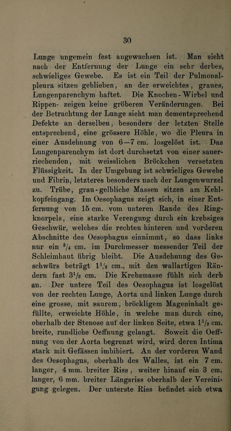 Lunge ungemein fest angewachsen ist. Man sieht nach der Entfernung der Lunge ein sehr derbes, schwieliges Gewebe. Es ist ein Teil der Pulmonal¬ pleura sitzen geblieben, an der erweichtes , graues, Lungenparenchym haftet. Die Knochen - Wirbel und Kippen- zeigen keine gröberen Veränderungen. Bei der Betrachtung der Lunge sieht man dementsprechend Defekte an derselben, besonders der letzten Stelle entsprechend, eine grössere Höhle, wo die Pleura in einer Ausdehnung von 6—7 cm. losgelöst ist. Das Lungenparenchym ist dort durchsetzt von einer sauer¬ riechenden , mit weisslichen Bröckchen versetzten Flüssigkeit. In der Umgebung ist schwieliges Gewebe und Fibrin, letzteres besonders nach der Lungenwurzel zu. Trübe, grau-gelbliche Massen sitzen am Kehl¬ kopfeingang. Im Oesophagus zeigt sich, in einer Ent¬ fernung von 15 cm. vom unteren Kande des King¬ knorpels, eine starke Verengung durch ein krebsiges Geschwür, welches die rechten hinteren und vorderen Abschnitte des Oesophagus einnimmt, so dass links nur ein 3A cm. im Durchmesser messender Teil der Schleimhaut übrig bleibt. Die Ausdehnung des Ge¬ schwürs beträgt IV2 cm., mit den wallartigen Rän¬ dern fast 37a cm. Die Krebsmasse fühlt sich derb an. Der untere Teil des Oesophagus ist losgelöst von der rechten Lunge, Aorta und linken Lunge durch eine grosse, mit saurem, bröckligem Mageninhalt ge¬ füllte, erweichte Höhle, in welche man durch eine, oberhalb der Stenose auf der linken Seite, etwa 17a cm. breite, rundliche Oelfnung gelangt. Soweit die Oeff- nung von der Aorta begrenzt wird, wird deren Intima stark mit Gefässen imbibiert. An der vorderen Wand des Oesophagus, oberhalb des Walles, ist ein 7 cm. langer, 4 mm. breiter Kiss , weiter hinauf ein 3 cm. langer, 6 mm. breiter Längsriss oberhalb der Vereini¬ gung gelegen. Der unterste Kiss befindet sich etwa