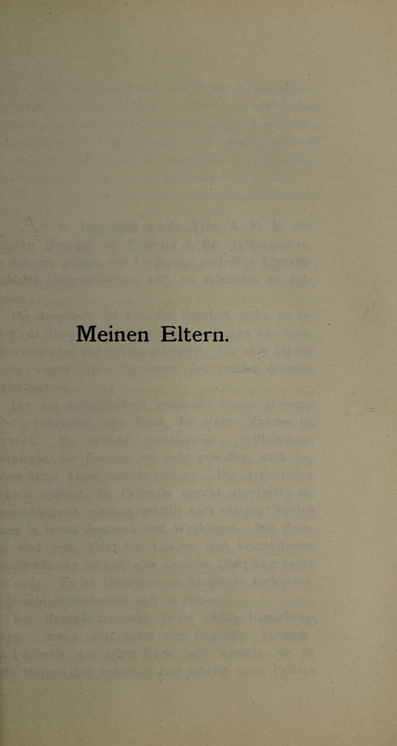 Meinen Eltern.