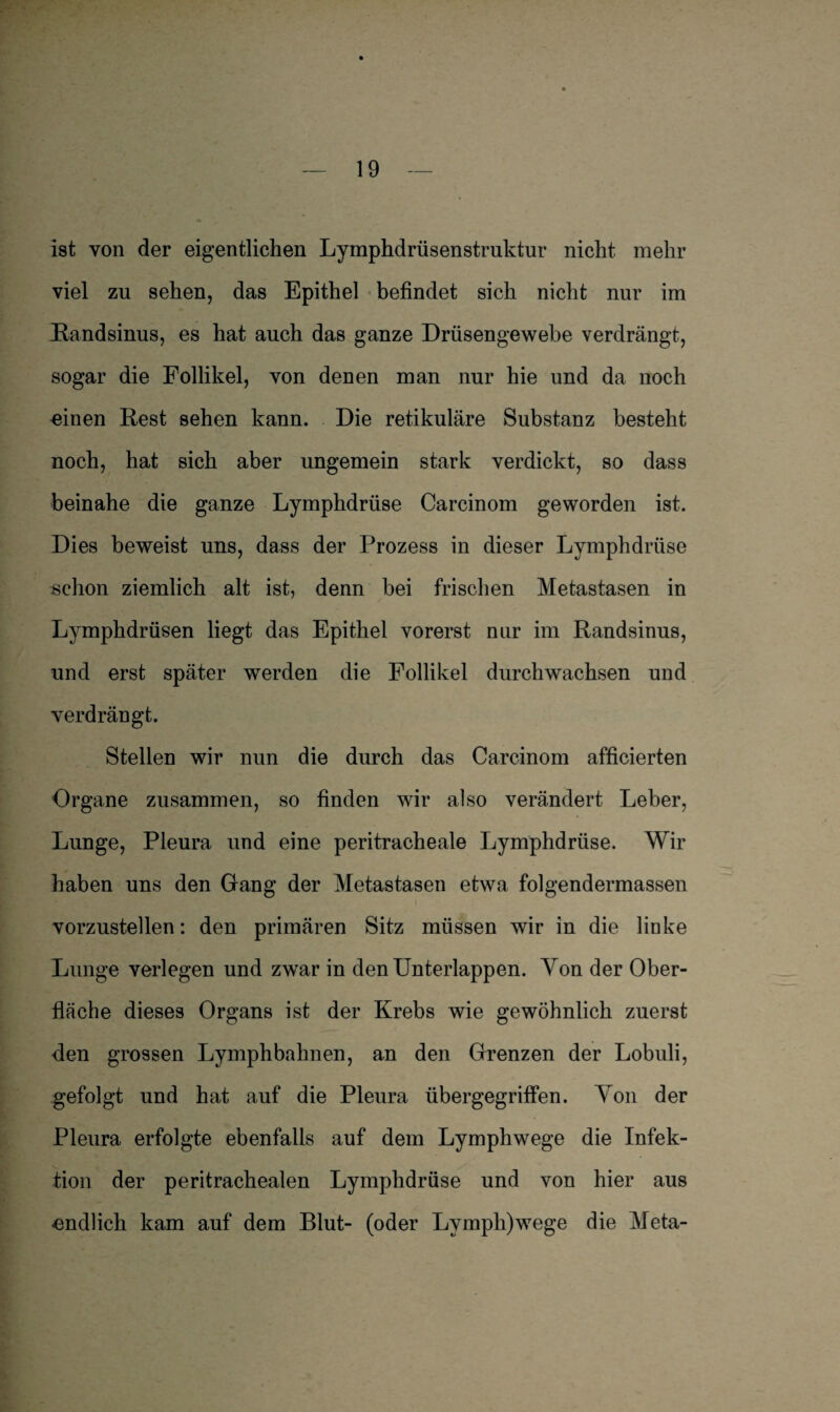 ist von der eigentlichen Lymphdrüsenstrnktur nicht mehr viel zu sehen, das Epithel befindet sich nicht nur im Randsinus, es hat auch das ganze Drüsengewebe verdrängt, sogar die Follikel, von denen man nur hie und da noch einen Rest sehen kann. Die retikuläre Substanz besteht noch, hat sich aber ungemein stark verdickt, so dass beinahe die ganze Lymphdrüse Carcinom geworden ist. Dies beweist uns, dass der Prozess in dieser Lymphdrüse schon ziemlich alt ist, denn bei frischen Metastasen in Lymphdrüsen liegt das Epithel vorerst nur im Randsinus, und erst später werden die Follikel durchwachsen und verdrängt. Stellen wir nun die durch das Carcinom afficierten Organe zusammen, so finden wir also verändert Leber, Lunge, Pleura und eine peritracheale Lymphdrüse. Wir haben uns den Gang der Metastasen etwa folgendermassen vorzustellen: den primären Sitz müssen wir in die linke Lunge verlegen und zwar in den Unterlappen. Von der Ober¬ fläche dieses Organs ist der Krebs wie gewöhnlich zuerst den grossen Lymphbahnen, an den Grenzen der Lobuli, gefolgt und hat auf die Pleura übergegriffen. Von der Pleura erfolgte ebenfalls auf dem Lymphwege die Infek¬ tion der peritrachealen Lymphdrüse und von hier aus -endlich kam auf dem Blut- (oder Lymph)wege die Meta-