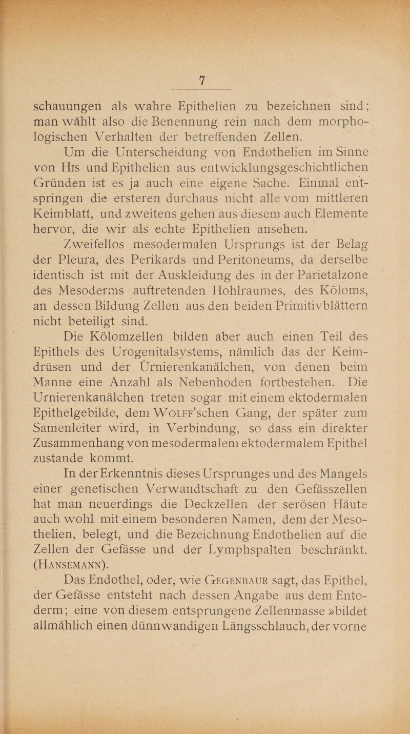 schaumigen als wahre Epithelien zu bezeichnen sind; man wählt also die Benennung rein nach dem morpho¬ logischen Verhalten der betreffenden Zellen. Um die Unterscheidung von Endothelien im Sinne von His und Epithelien aus entwicklungsgeschichtlichen Gründen ist es ja auch eine eigene Sache. Einmal ent¬ springen die ersteren durchaus nicht alle vom mittleren Keimblatt, und zweitens gehen aus diesem auch Elemente hervor, die wir als echte Epithelien ansehen. Zweifellos mesodermalen Ursprungs ist der Belag der Pleura, des Perikards und Peritoneums, da derselbe identisch ist mit der Auskleidung des in der Parietalzone des Mesoderms auftretenden Hohlraumes, des Köloms, an dessen Bildung Zellen aus den beiden Primitivblättern nicht beteiligt sind. Die Kölomzellen bilden aber auch einen Teil des Epithels des Urogenitalsystems, nämlich das der Keim¬ drüsen und der Ürnierenkanälchen, von denen beim Manne eine Anzahl als Nebenhoden fortbestehen. Die Ürnierenkanälchen treten sogar mit einem ektodermalen Epithelgebilde, dem WoLFF’schen Gang, der später zum Samenleiter wird, in Verbindung, so dass ein direkter Zusammenhang von mesodermalem ektodermalem Epithel zustande kommt. In der Erkenntnis dieses Ursprunges und des Mangels einer genetischen Verwandtschaft zu den Gefässzellen hat man neuerdings die Deckzellen der serösen Häute auch wohl mit einem besonderen Namen, dem der Meso- thelien, belegt, und die Bezeichnung Endothelien auf die Zellen der Gefässe und der Lymphspalten beschränkt. (Hansemann). Das Endothel, oder, wie Gegenbaur sagt, das Epithel, der Gefässe entsteht nach dessen Angabe aus dem Ento- derm; eine von diesem entsprungene Zellenmasse »bildet allmählich einen dünnwandigen Längsschlauch, der vorne