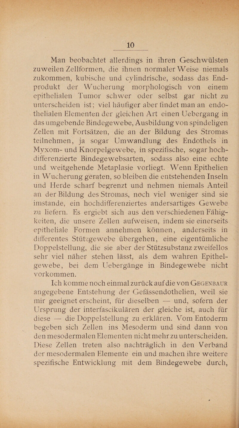 Man beobachtet allerdings in ihren Geschwülsten zuweilen Zellformen, die ihnen normaler Weise niemals zukommen, kubische und cylindrische, sodass das End¬ produkt der Wucherung morphologisch von einem epithelialen Tumor schwer oder selbst gar nicht zu unterscheiden ist; viel häufiger aber findet man an endo¬ thelialen Elementen der gleichen Art einen Uebergang in das umgebende Bindegewebe, Ausbildung von spindeligen Zellen mit Fortsätzen, die an der Bildung des Stromas teilnehmen, ja sogar Umwandlung des Endothels in Myxom- und Knorpelgewebe, in spezifische, sogar hoch¬ differenzierte Bindegewebsarten, sodass also eine echte und weitgehende Metaplasie vorliegt. Wenn Epithelien in Wucherung geraten, so bleiben die entstehenden Inseln und Herde scharf begrenzt und nehmen niemals Anteil an der Bildung des Stromas, noch viel weniger sind sie imstande, ein hochdifferenziertes andersartiges Gewebe zu liefern. Es ergiebt sich aus den verschiedenen Fähig¬ keiten, die unsere Zellen aufweisen, indem sie einerseits epitheliale Formen annehmen können, anderseits in differentes Stützgewebe übergehen, eine eigentümliche Doppelstellung, die sie aber der Stützsubstanz zweifellos sehr viel näher stehen lässt, als dem wahren Epithel¬ gewebe, bei dem Uebergänge in Bindegewebe nicht Vorkommen. Ich komme noch einmal zurück auf die von Gegenbaur angegebene Entstehung der Gefässendothelien, weil sie mir geeignet erscheint, für dieselben — und, sofern der Ursprung der interfascikulären der gleiche ist, auch für diese — die Doppelstellung zu erklären. Vom Entoderm begeben sich Zellen ins Mesoderm und sind dann von den mesodermalen Elementen nicht mehr zu unterscheiden. Diese Zellen treten also nachträglich in den Verband der mesodermalen Elemente ein und machen ihre weitere spezifische Entwicklung mit dem Bindegewebe durch,